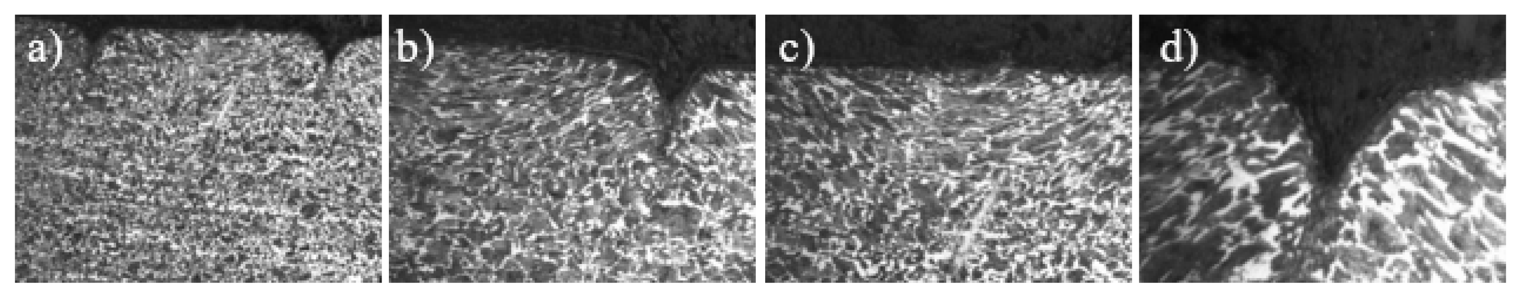 Metals 14 00031 g010