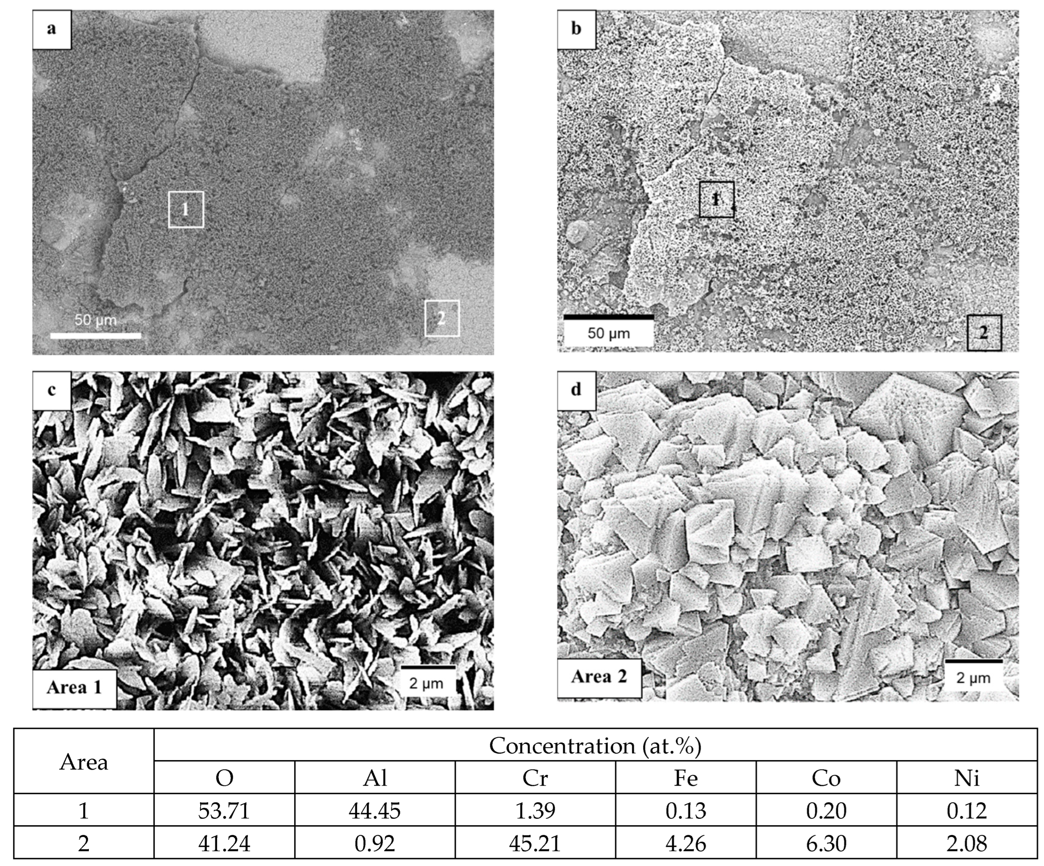 Metals 14 00033 g005