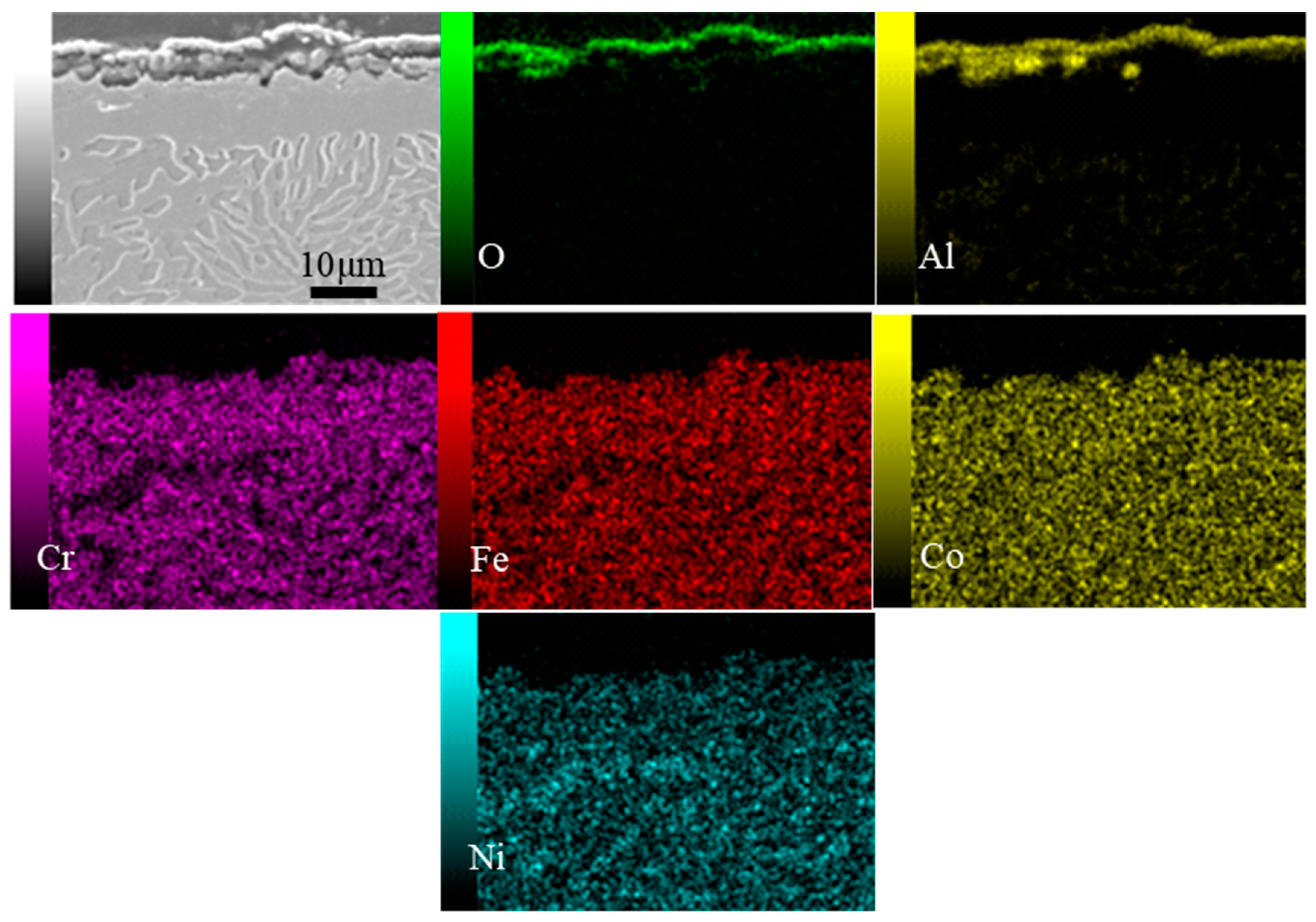 Metals 14 00033 g013