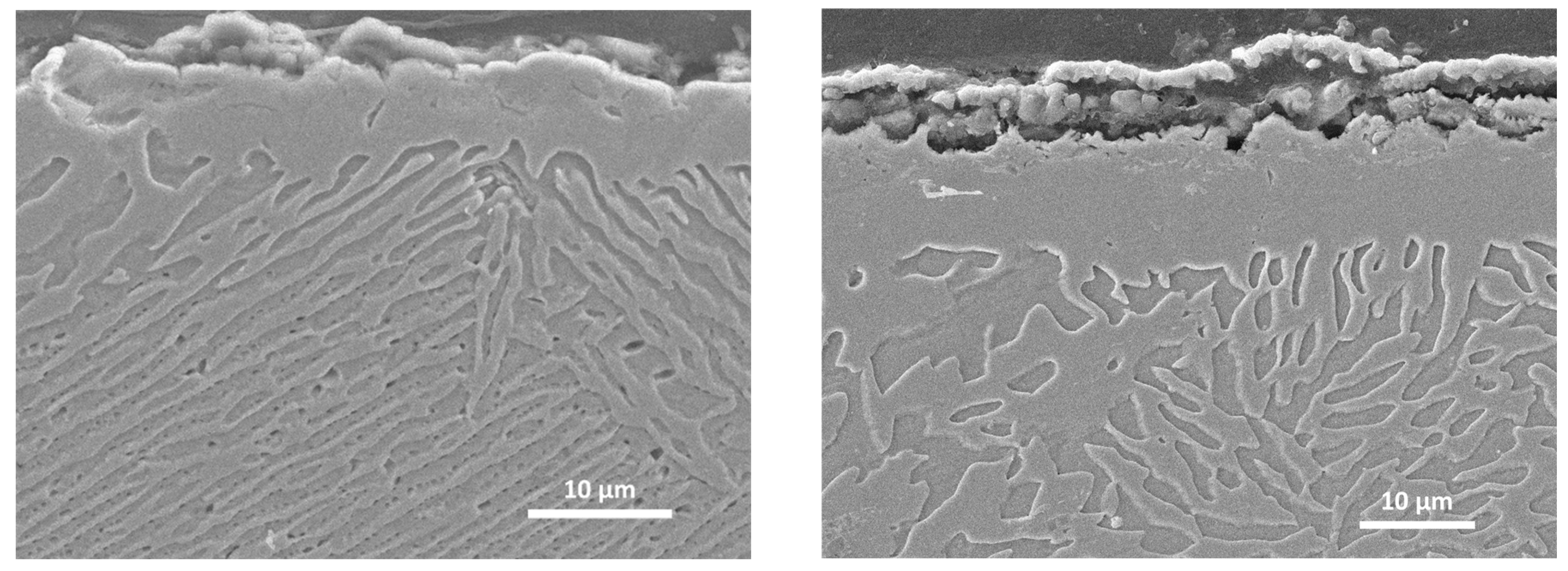 Metals 14 00033 g019