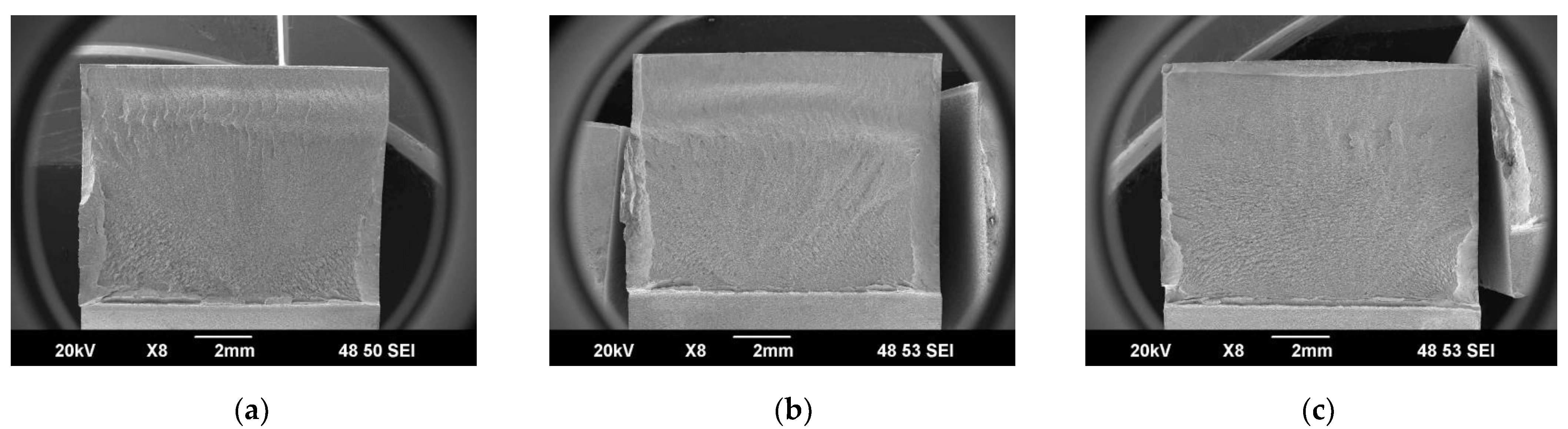 Metals 14 00036 g006a