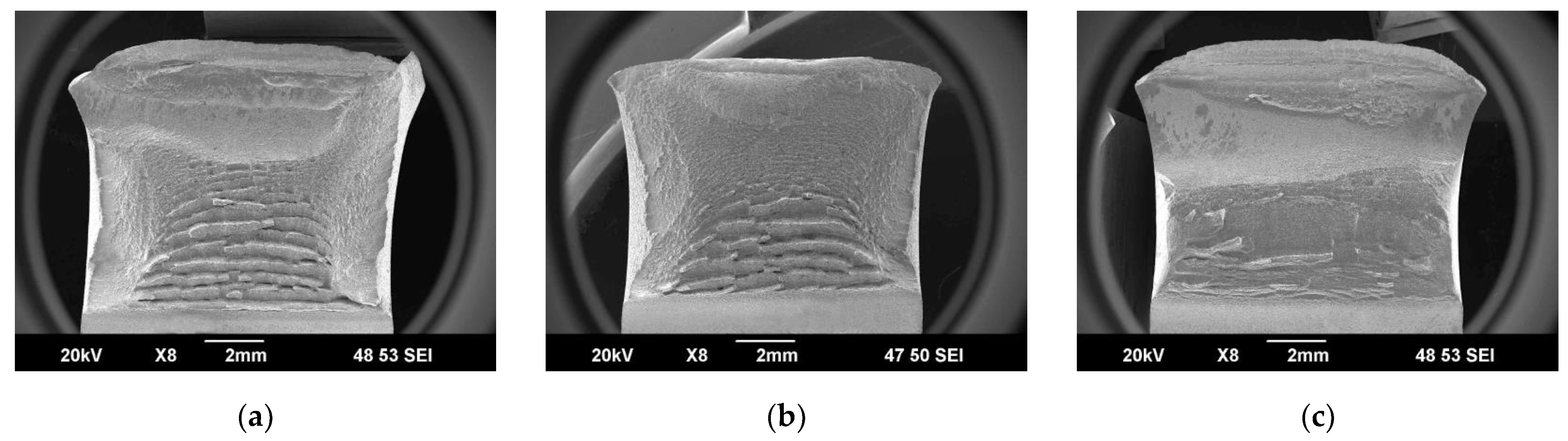 Metals 14 00036 g010a