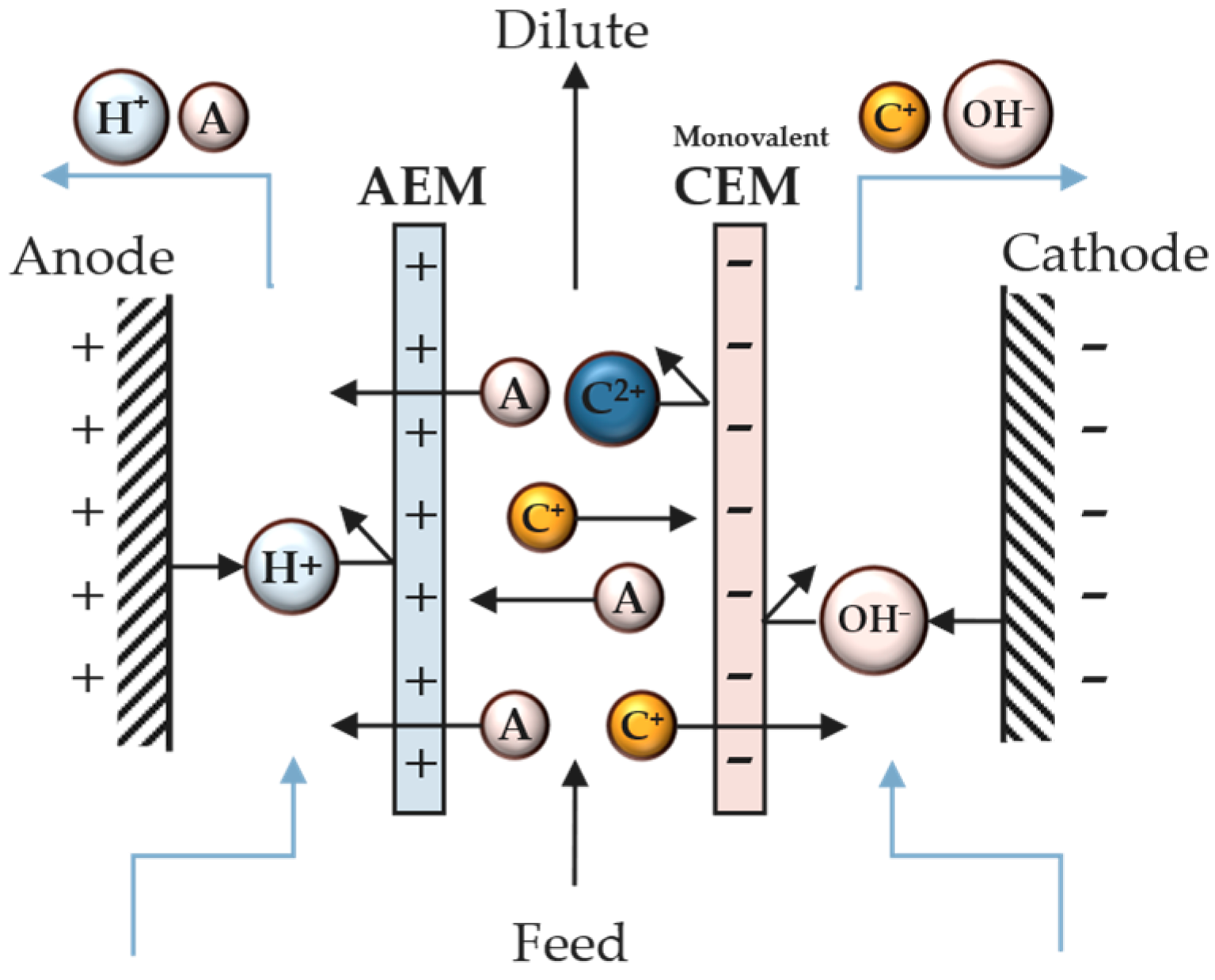 Metals 14 00038 g004