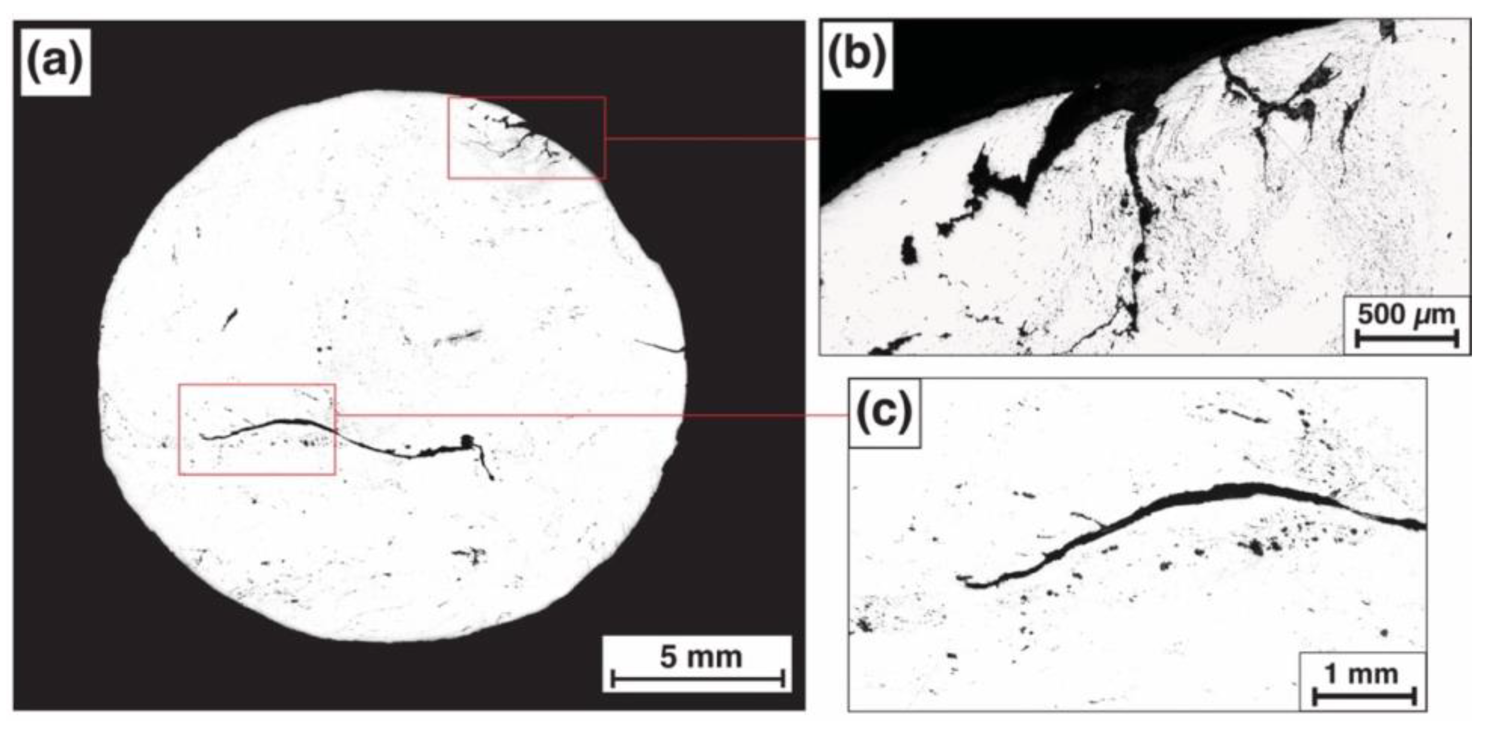 Metals 14 00041 g004