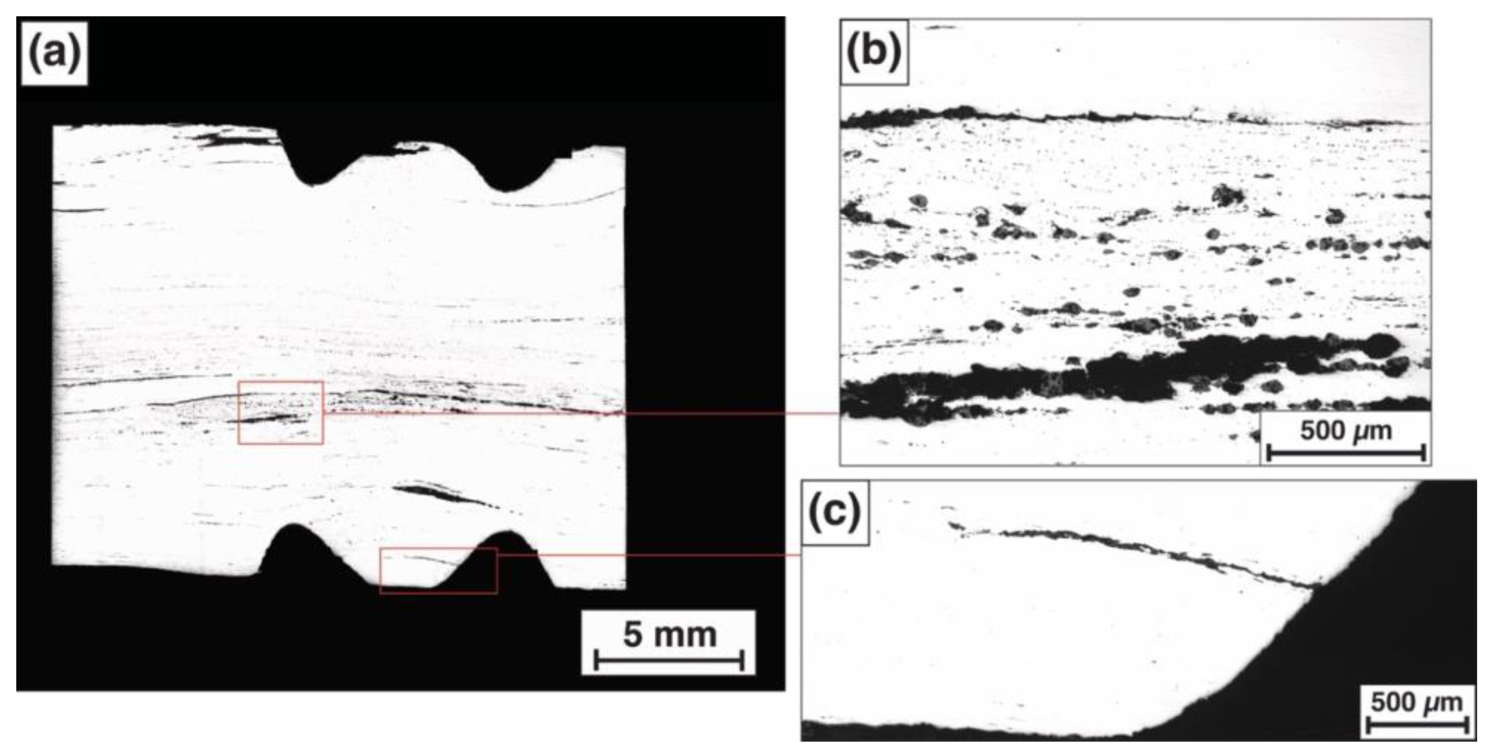 Metals 14 00041 g005