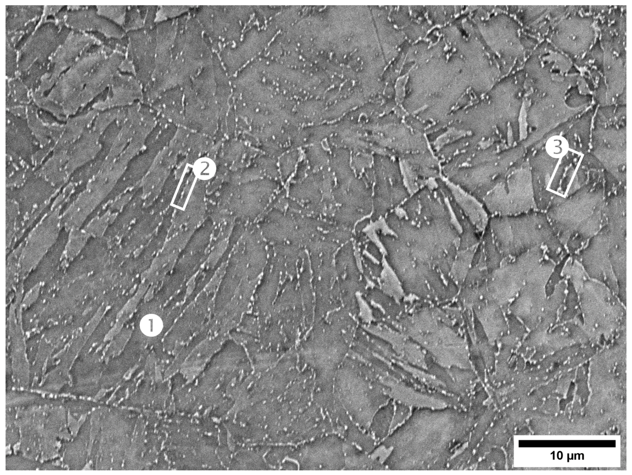 Metals 14 00044 g001