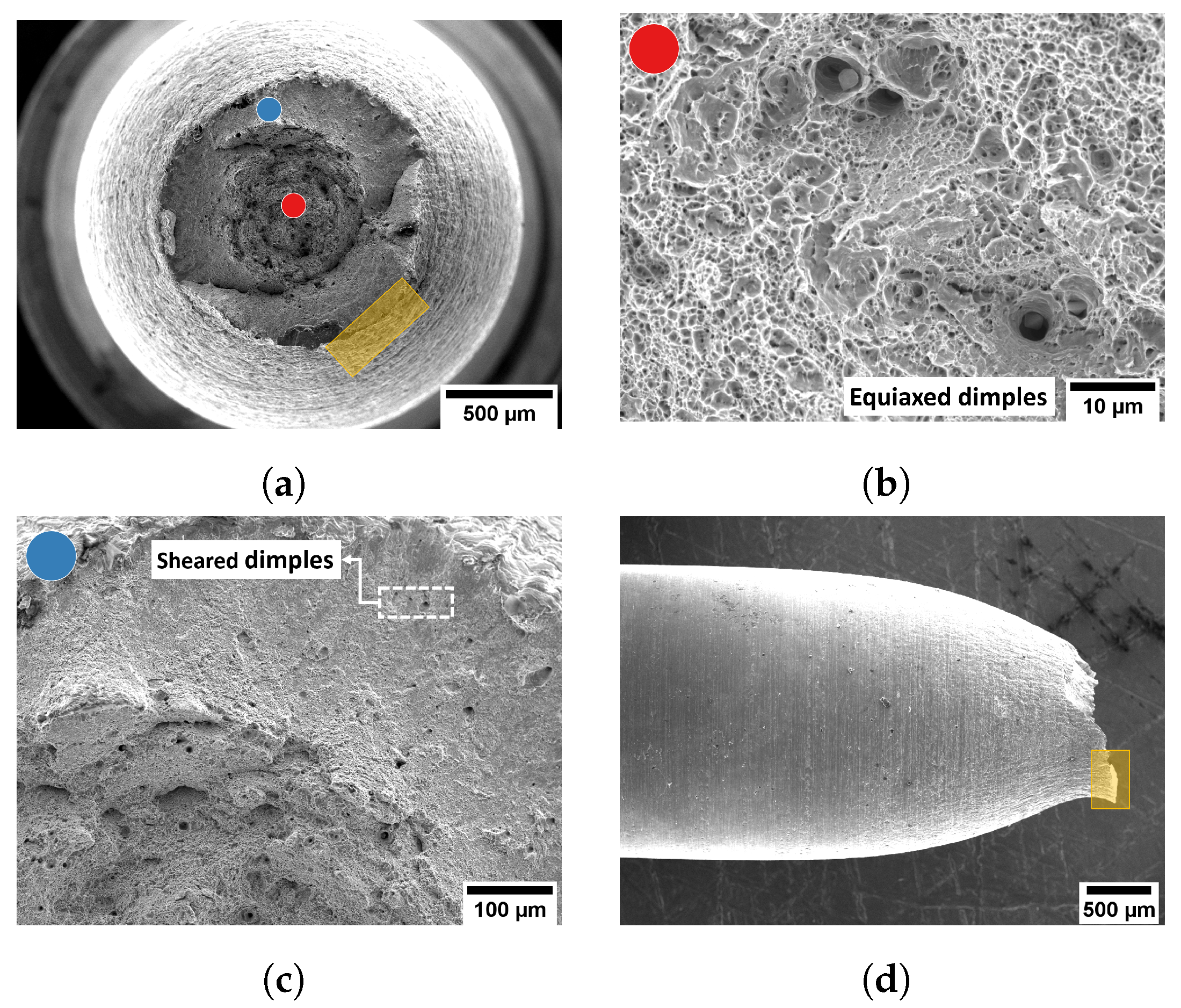 Metals 14 00044 g007
