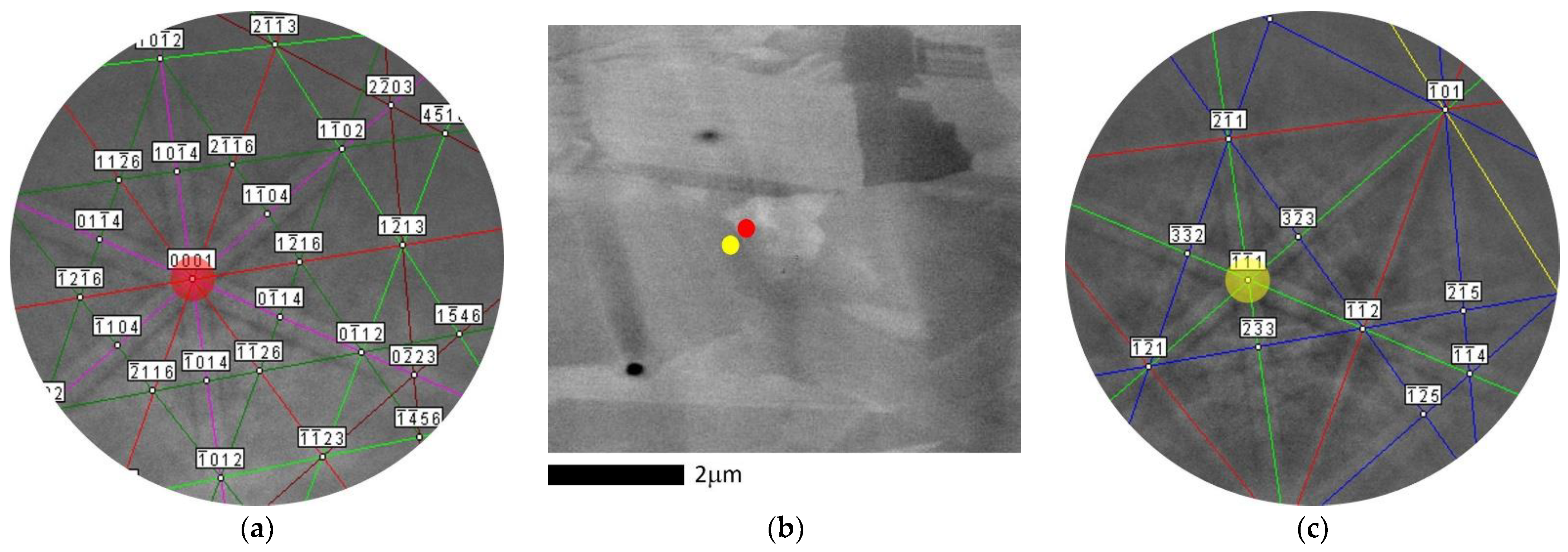 Metals 14 00051 g006