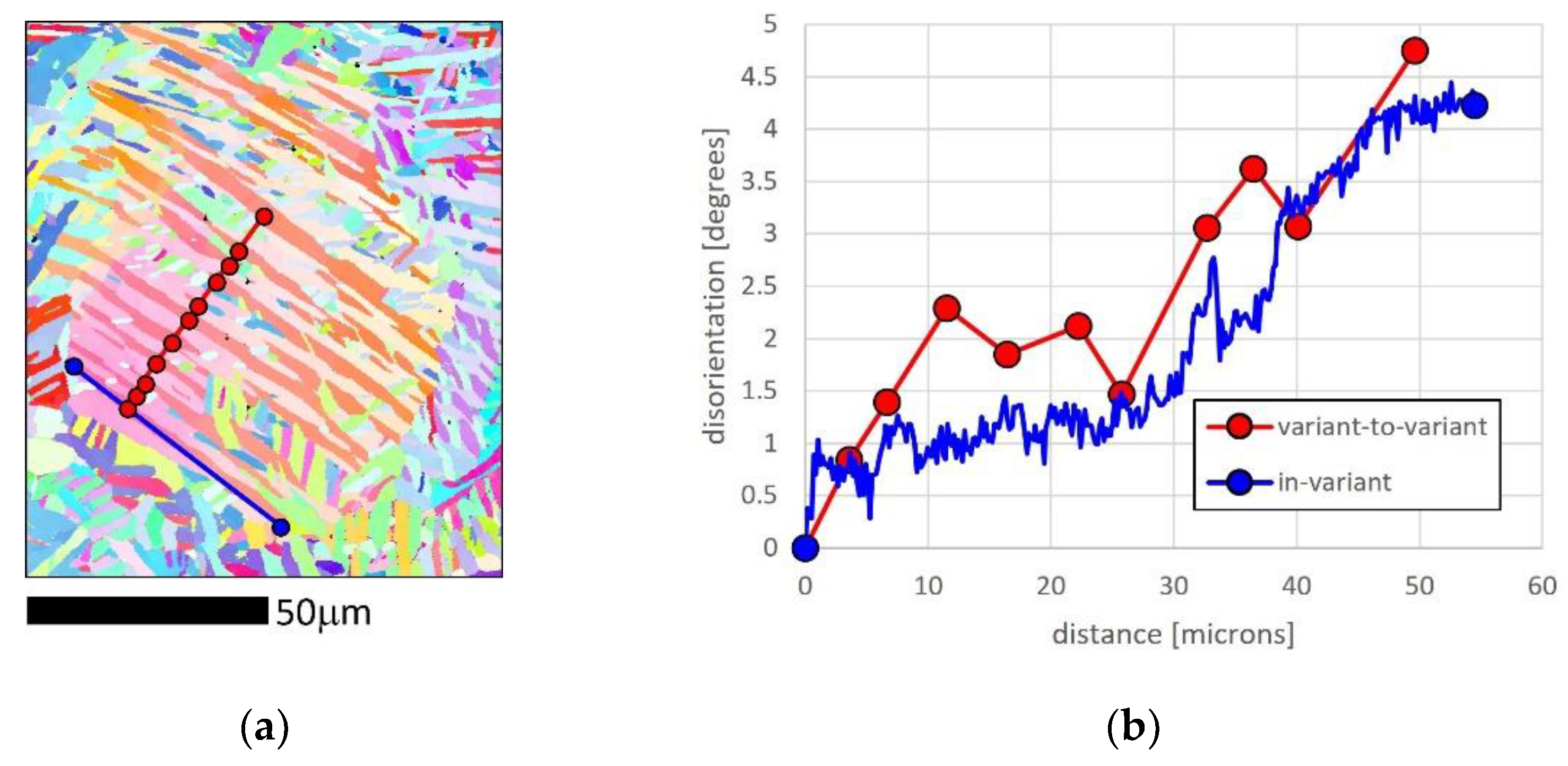 Metals 14 00051 g010