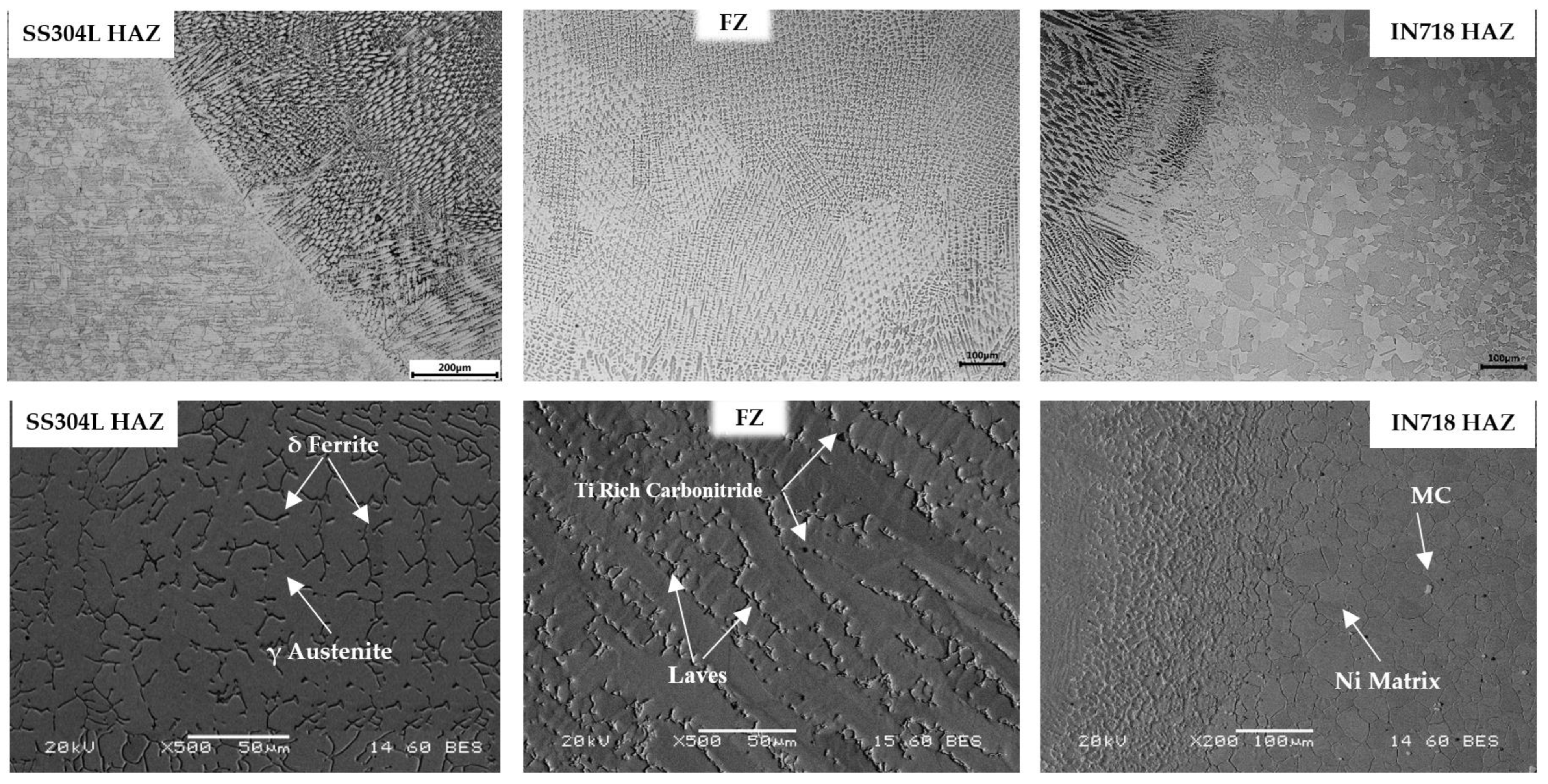 Metals 14 00054 g004