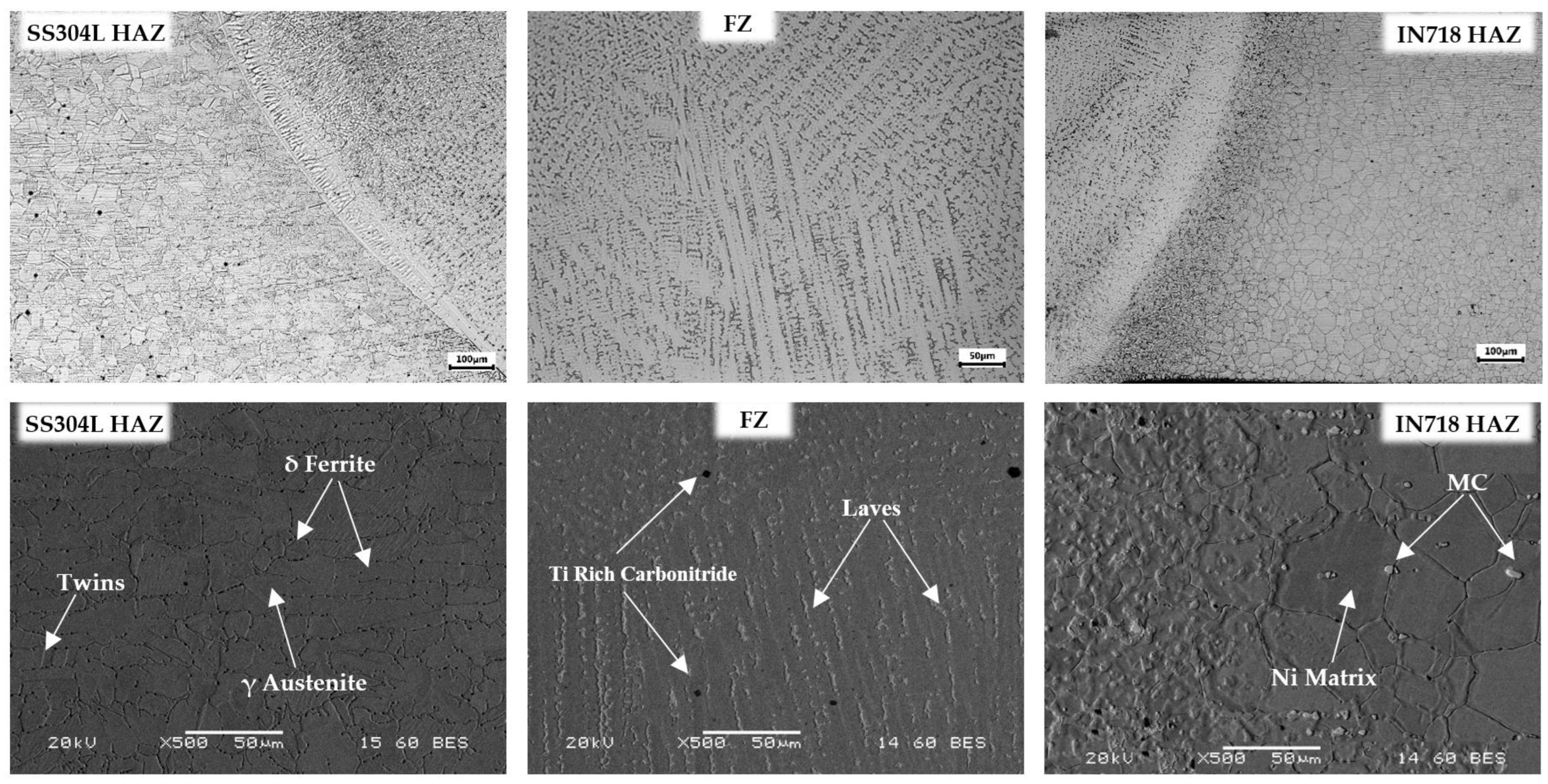 Metals 14 00054 g005