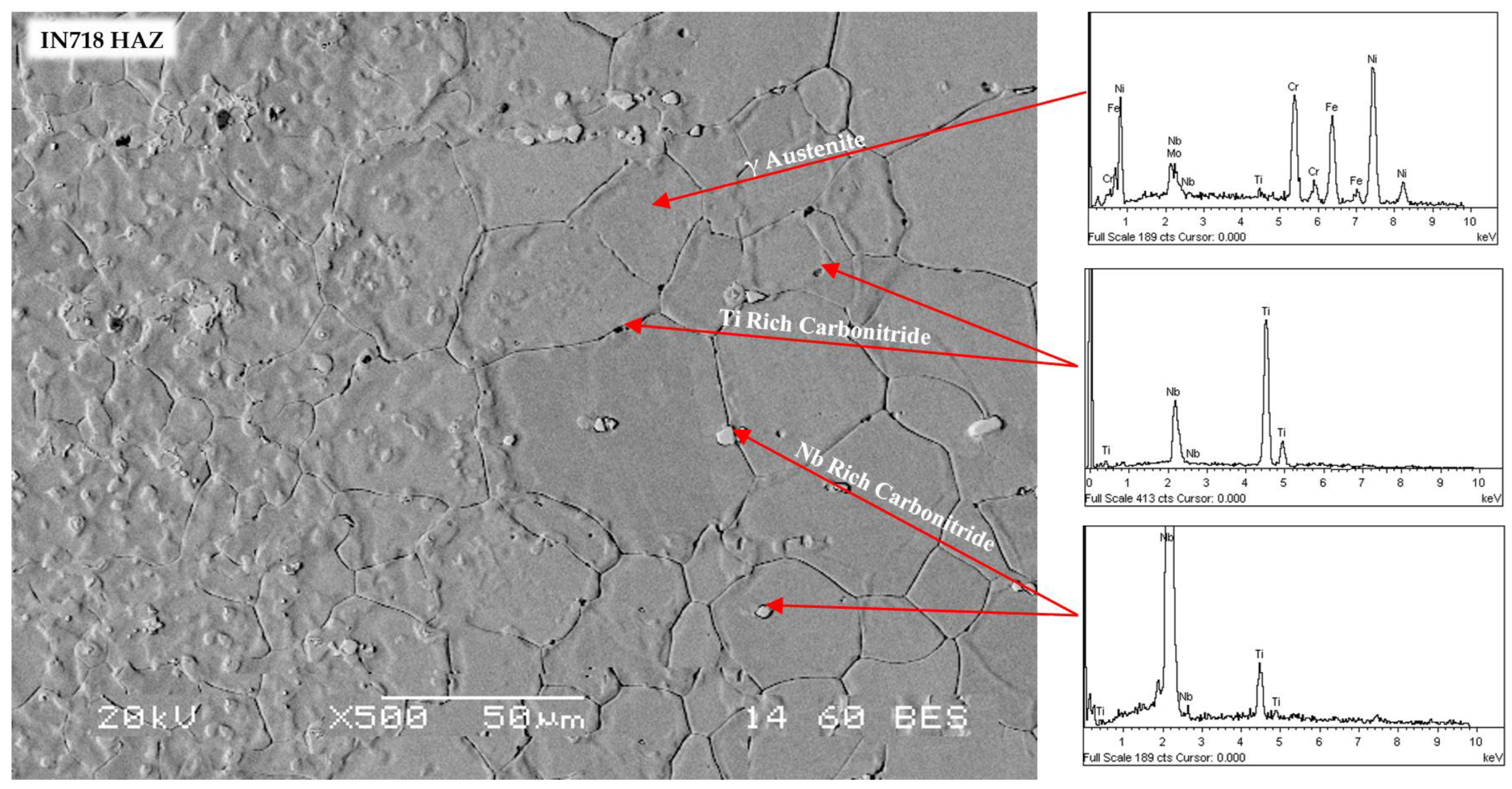 Metals 14 00054 g006