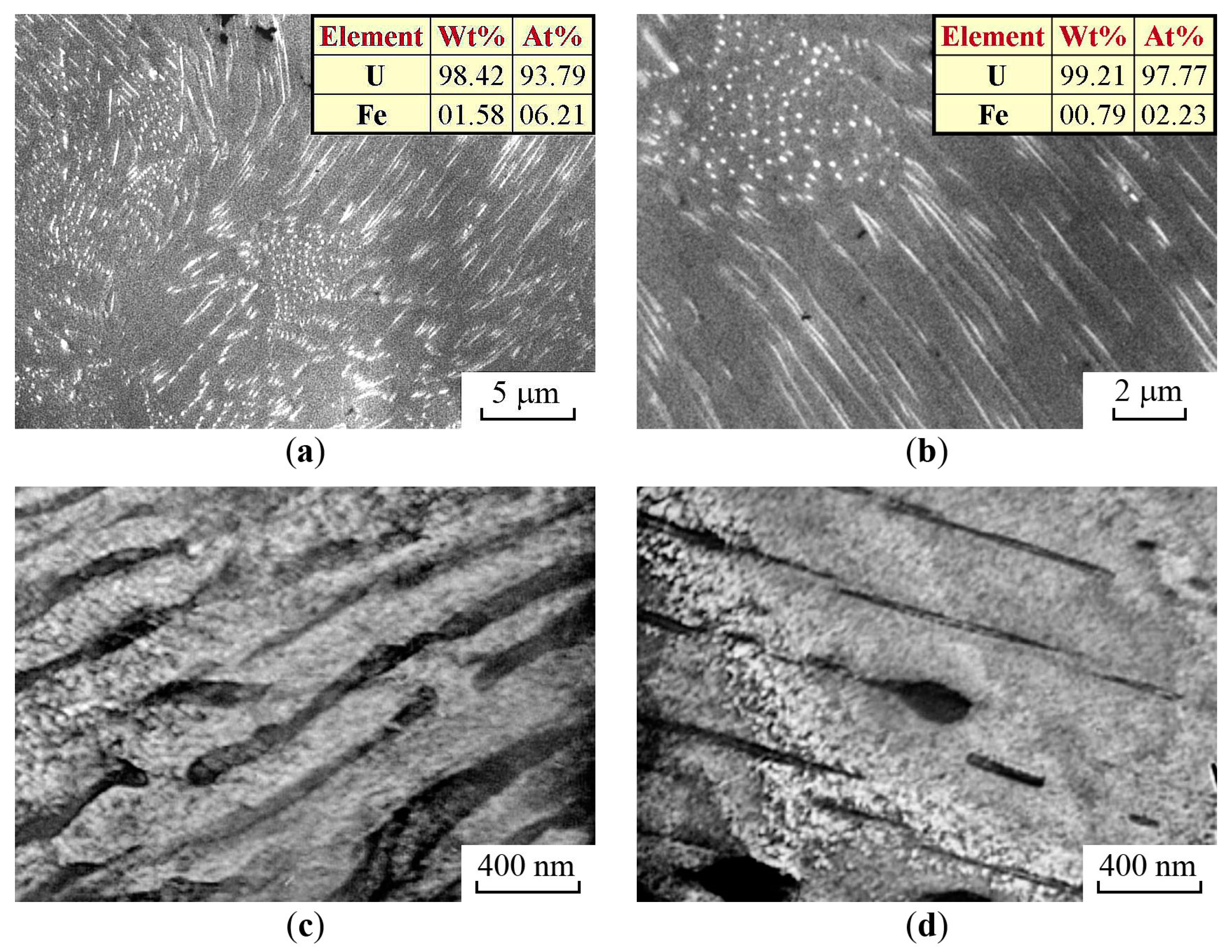 Metals 14 00055 g009