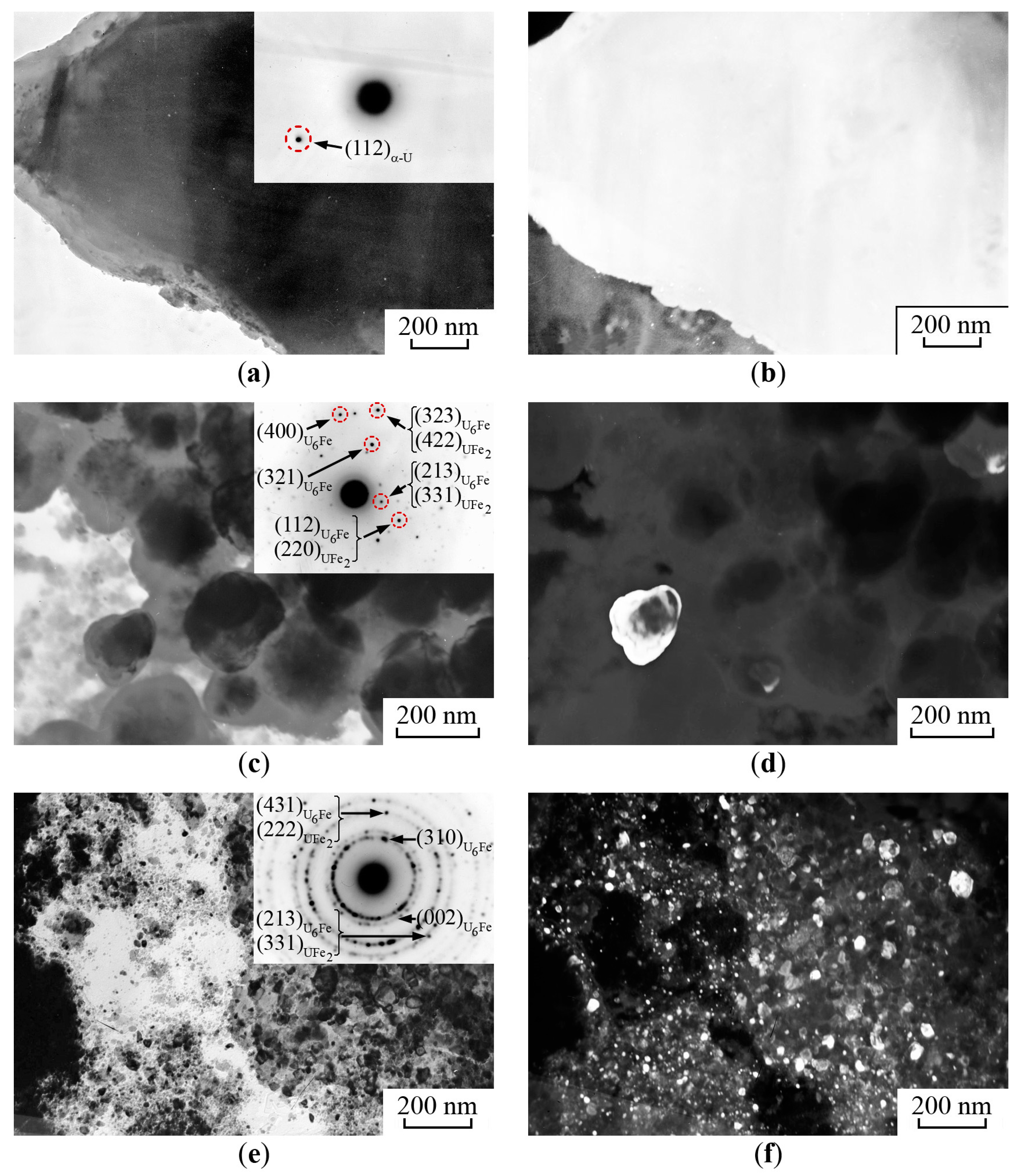 Metals 14 00055 g010