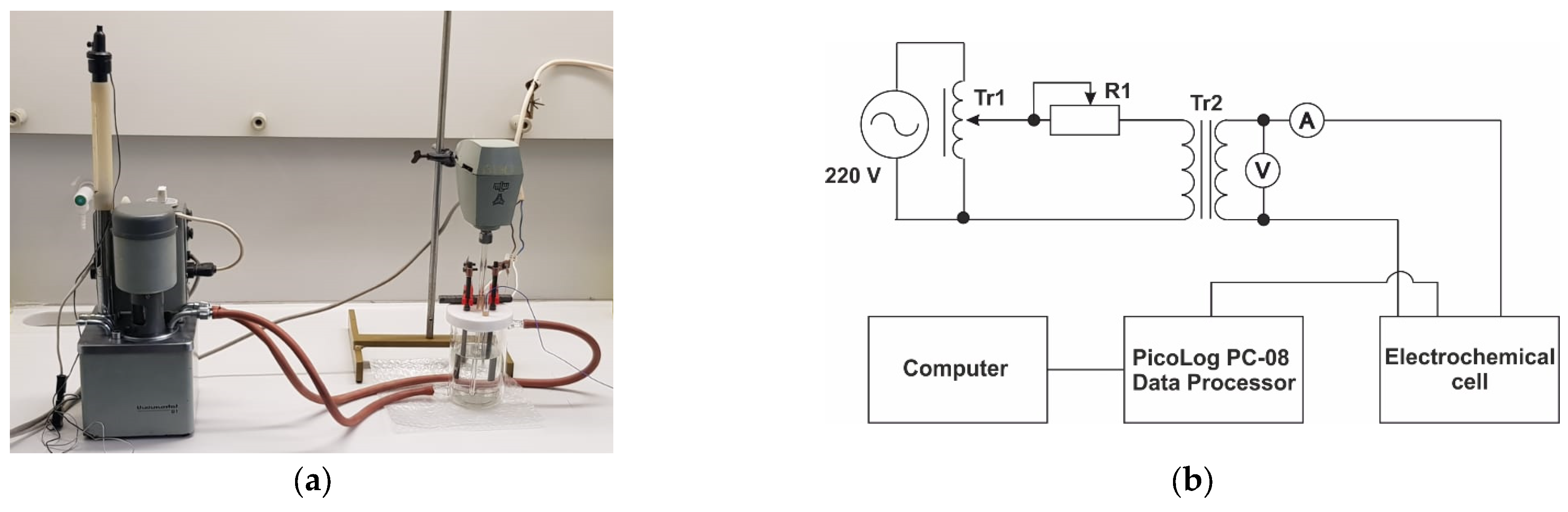 Metals 14 00065 g002a