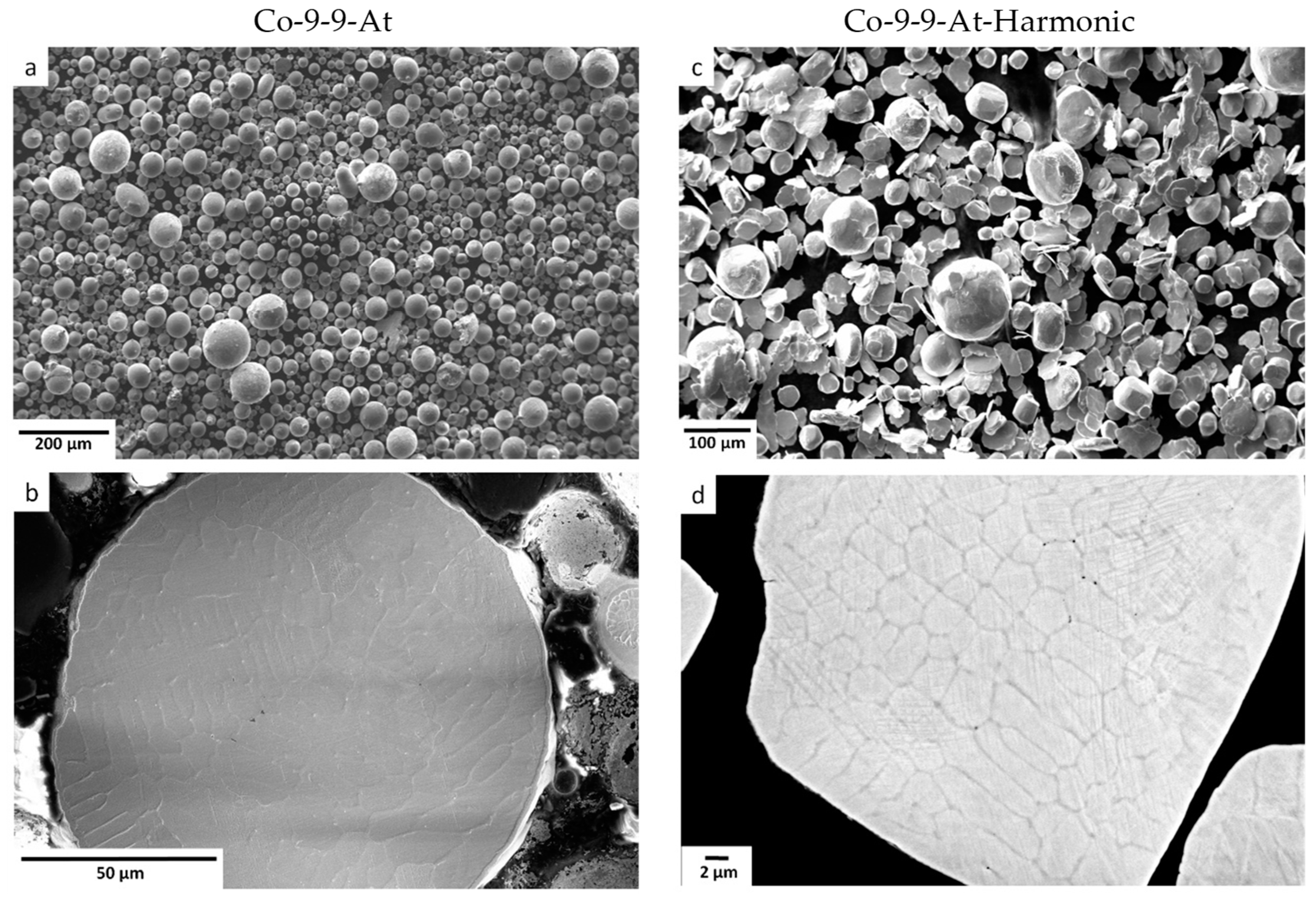 Metals 14 00070 g001