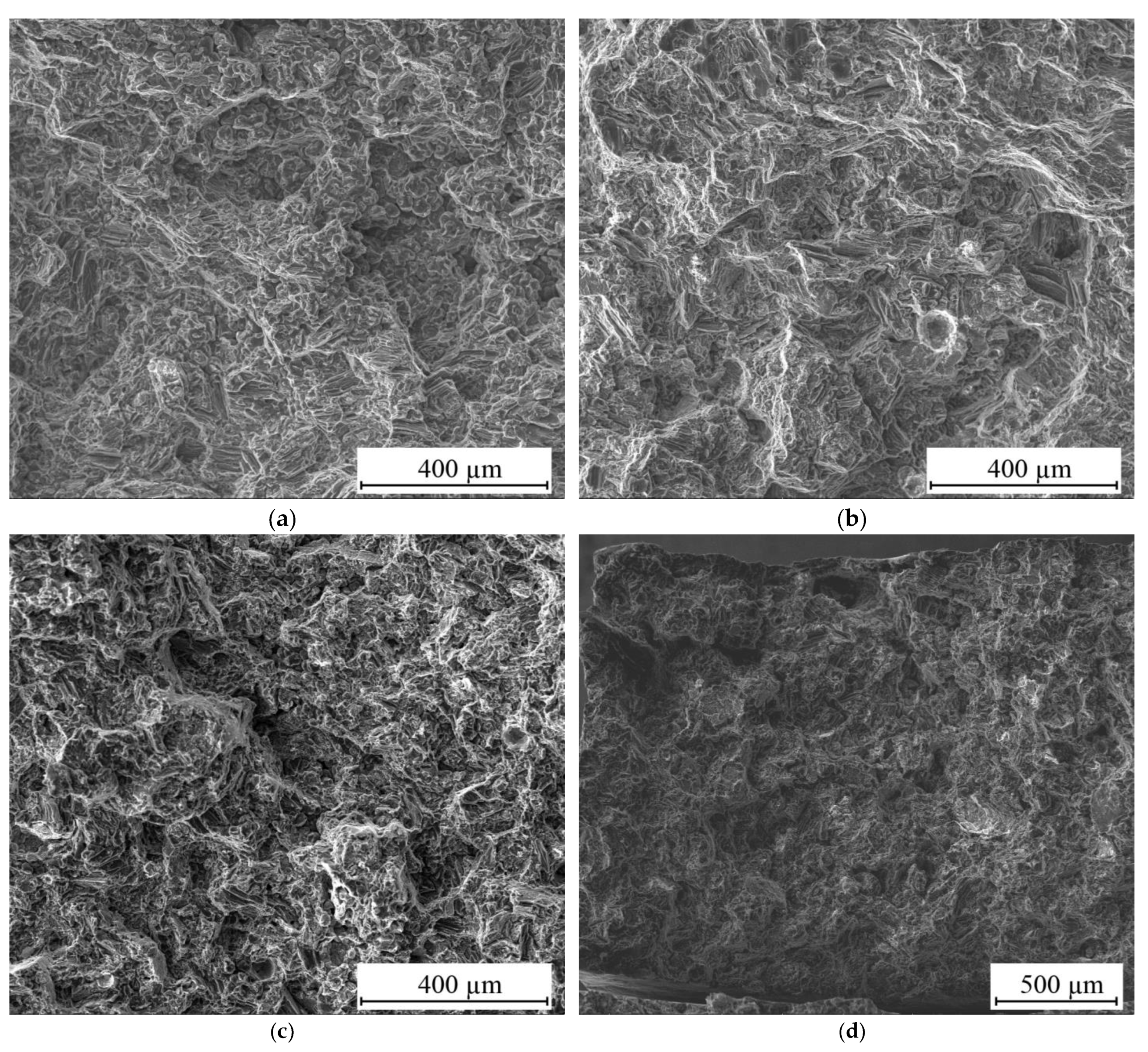 Metals 14 00071 g014