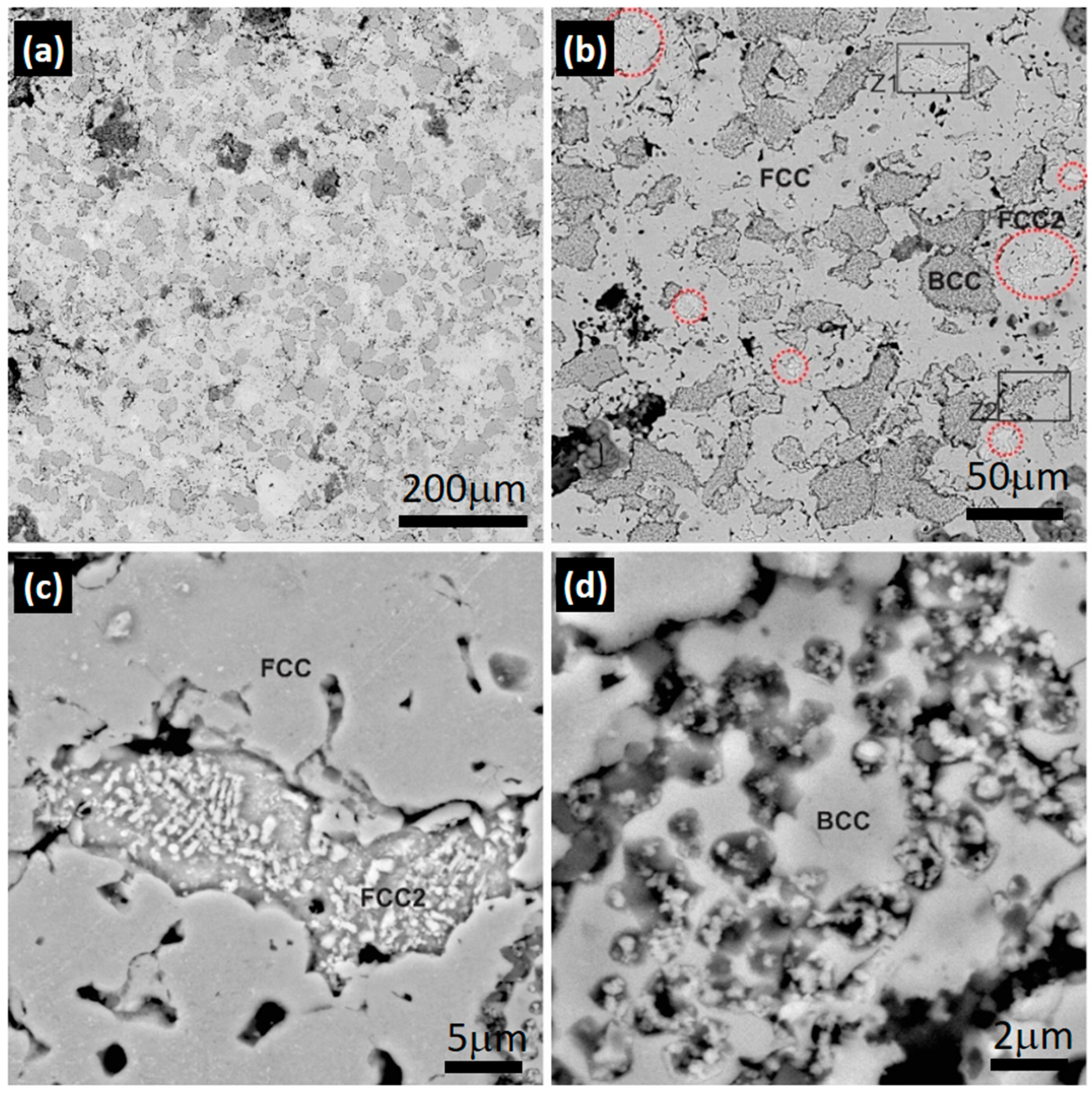 Metals 14 00074 g003