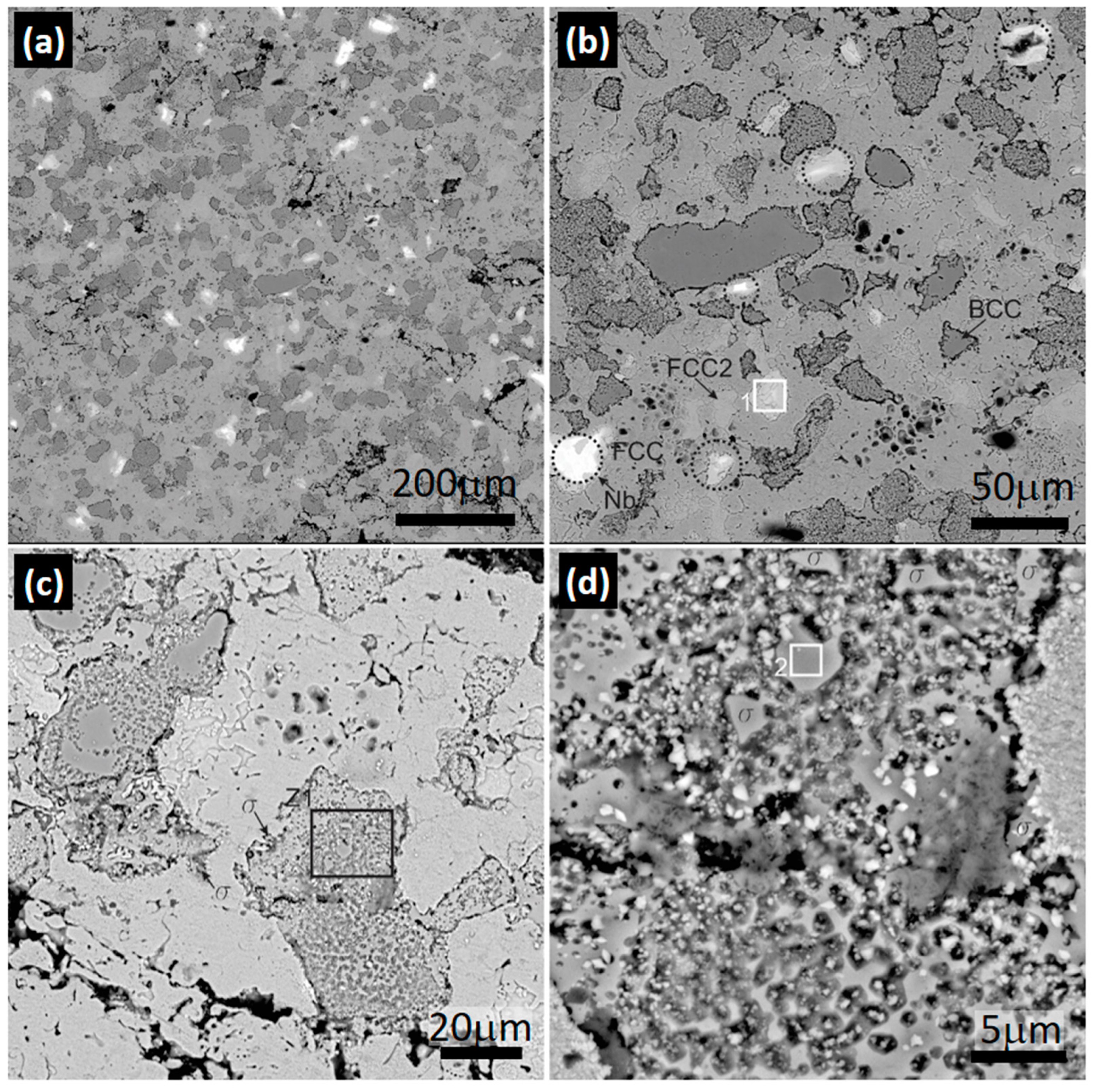 Metals 14 00074 g005