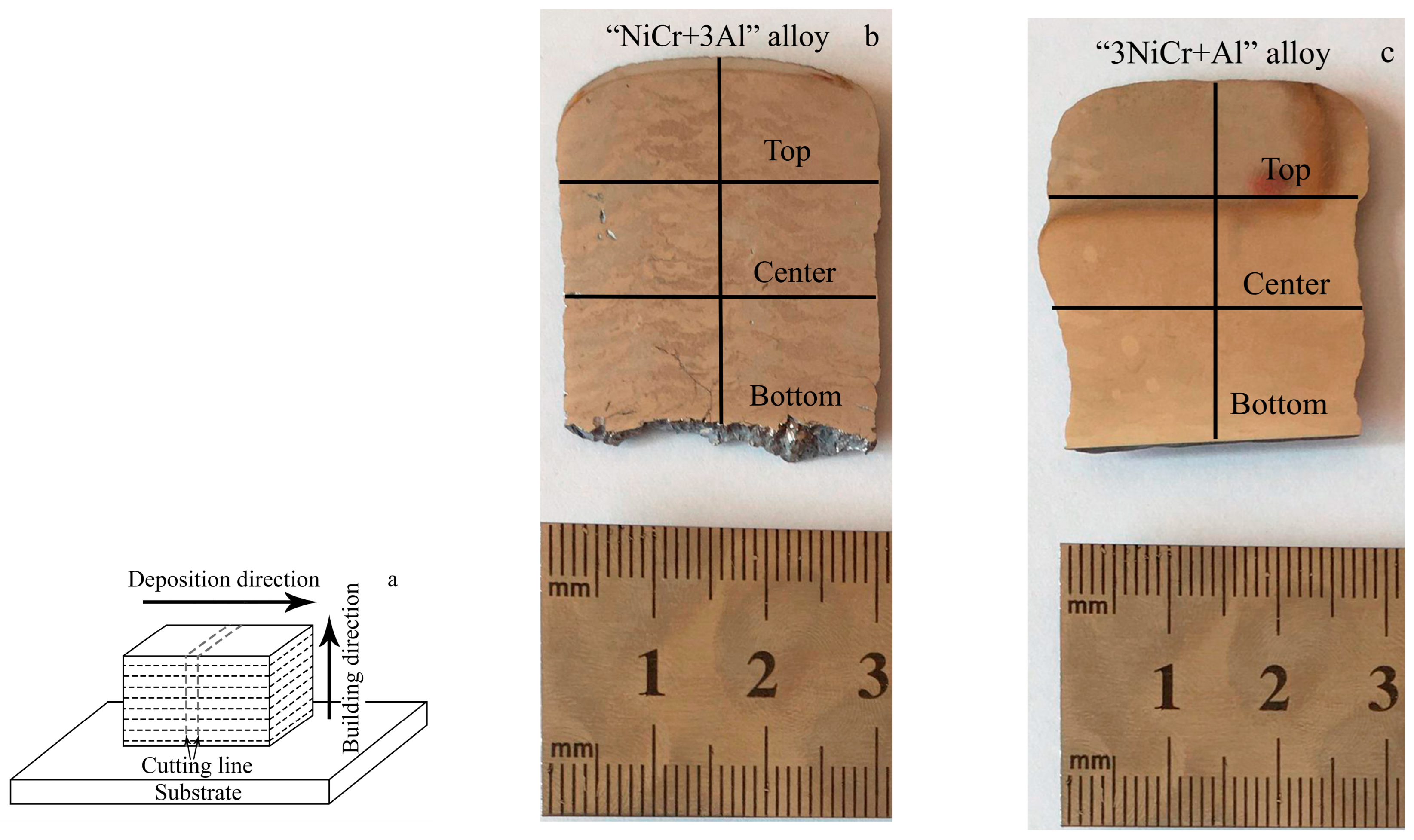Metals 14 00075 g001