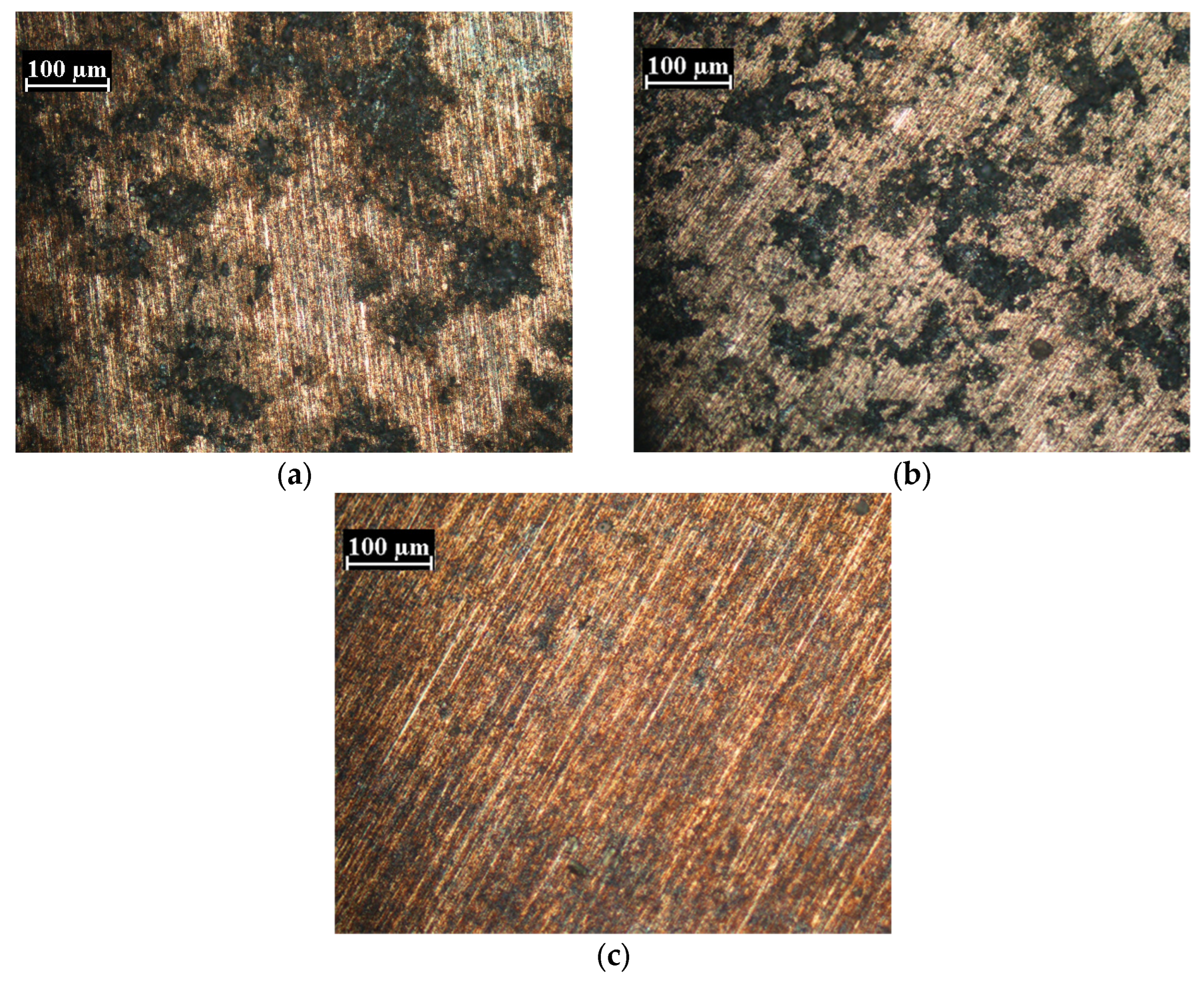 Metals 14 00076 g013