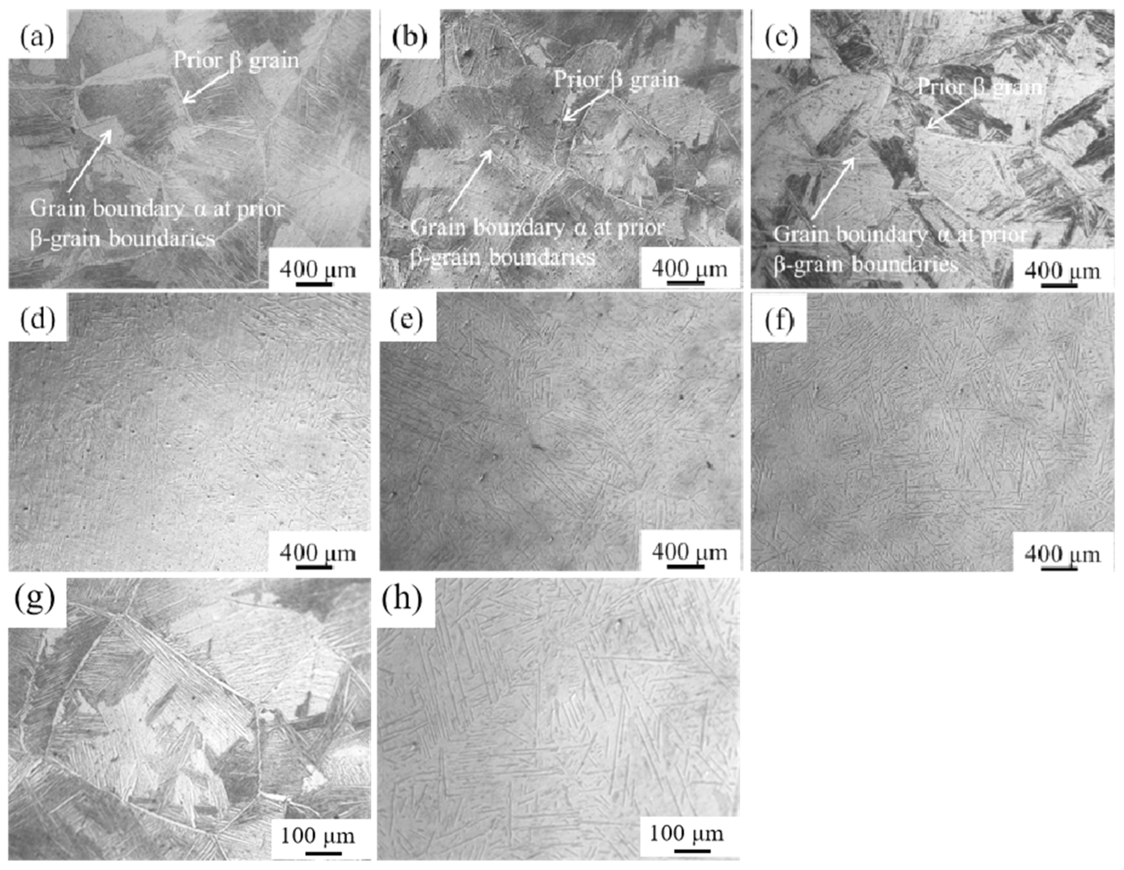 Metals 14 00081 g002