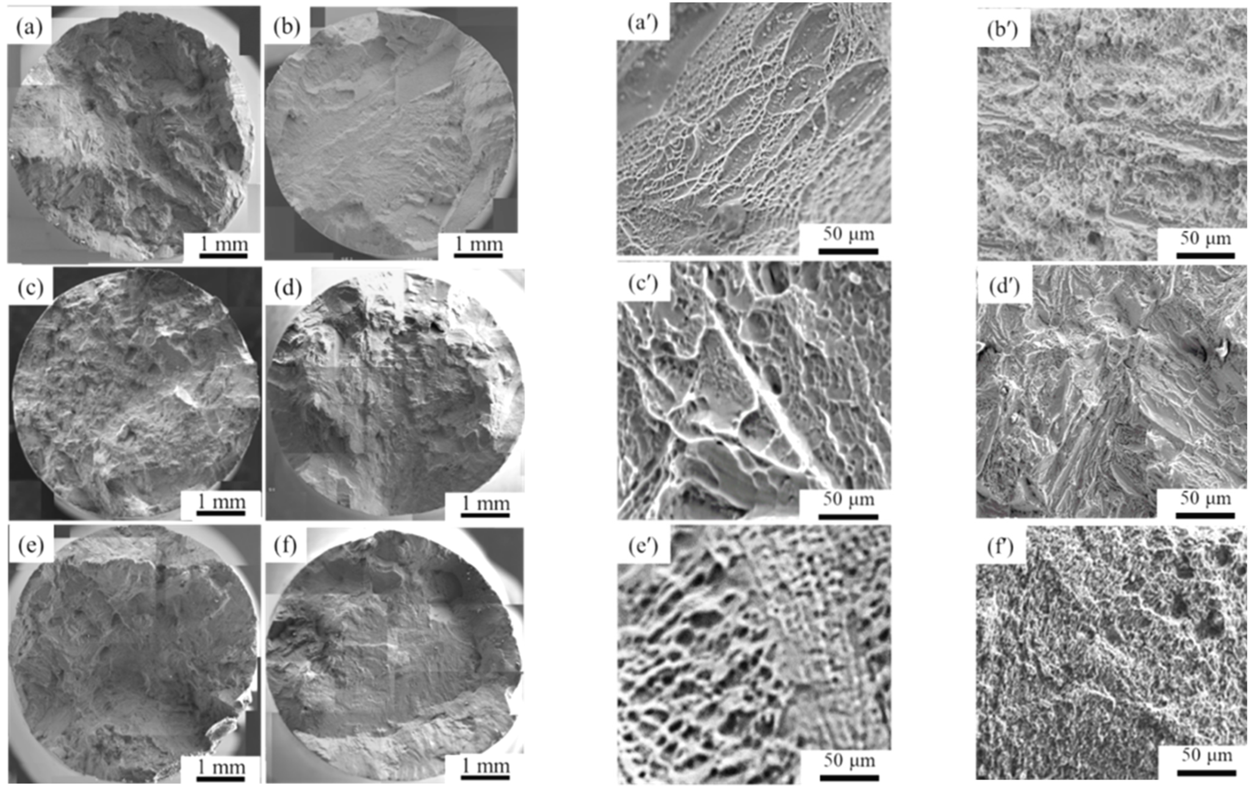 Metals 14 00081 g005