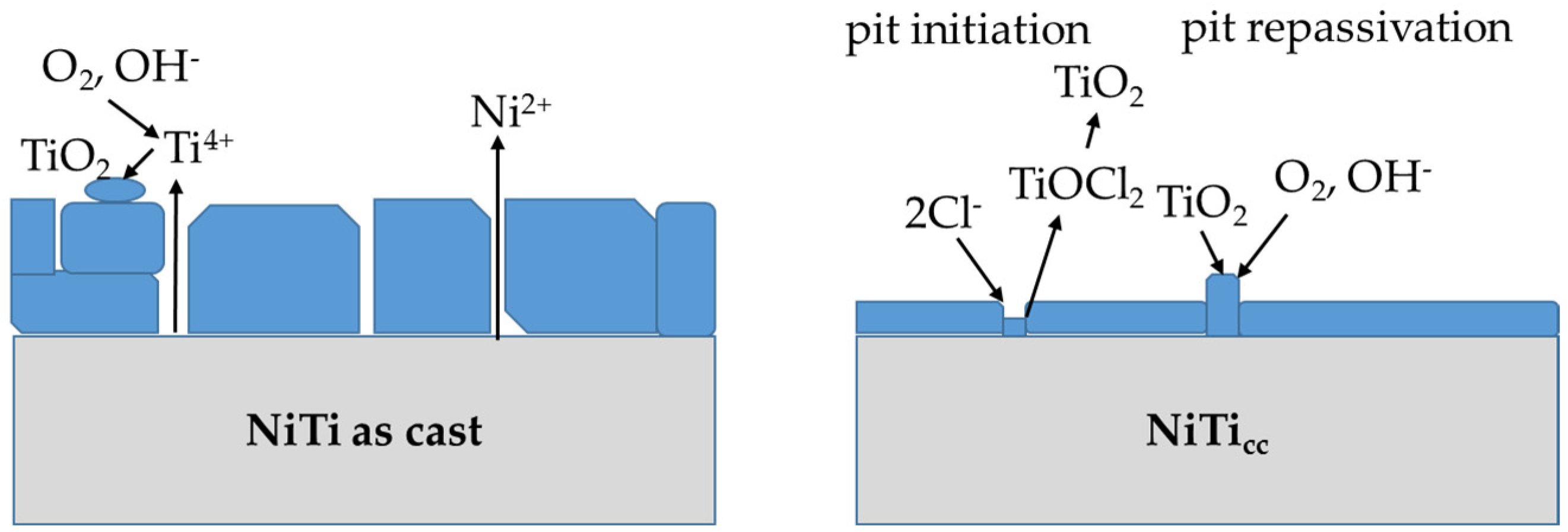 Metals 14 00088 g010