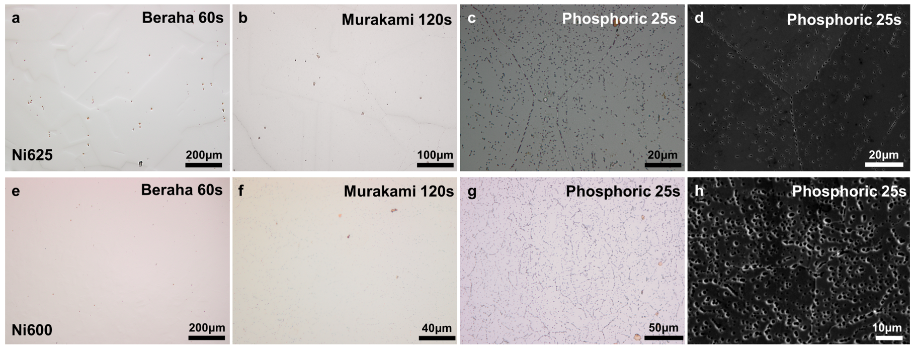 Metals 14 00091 g005