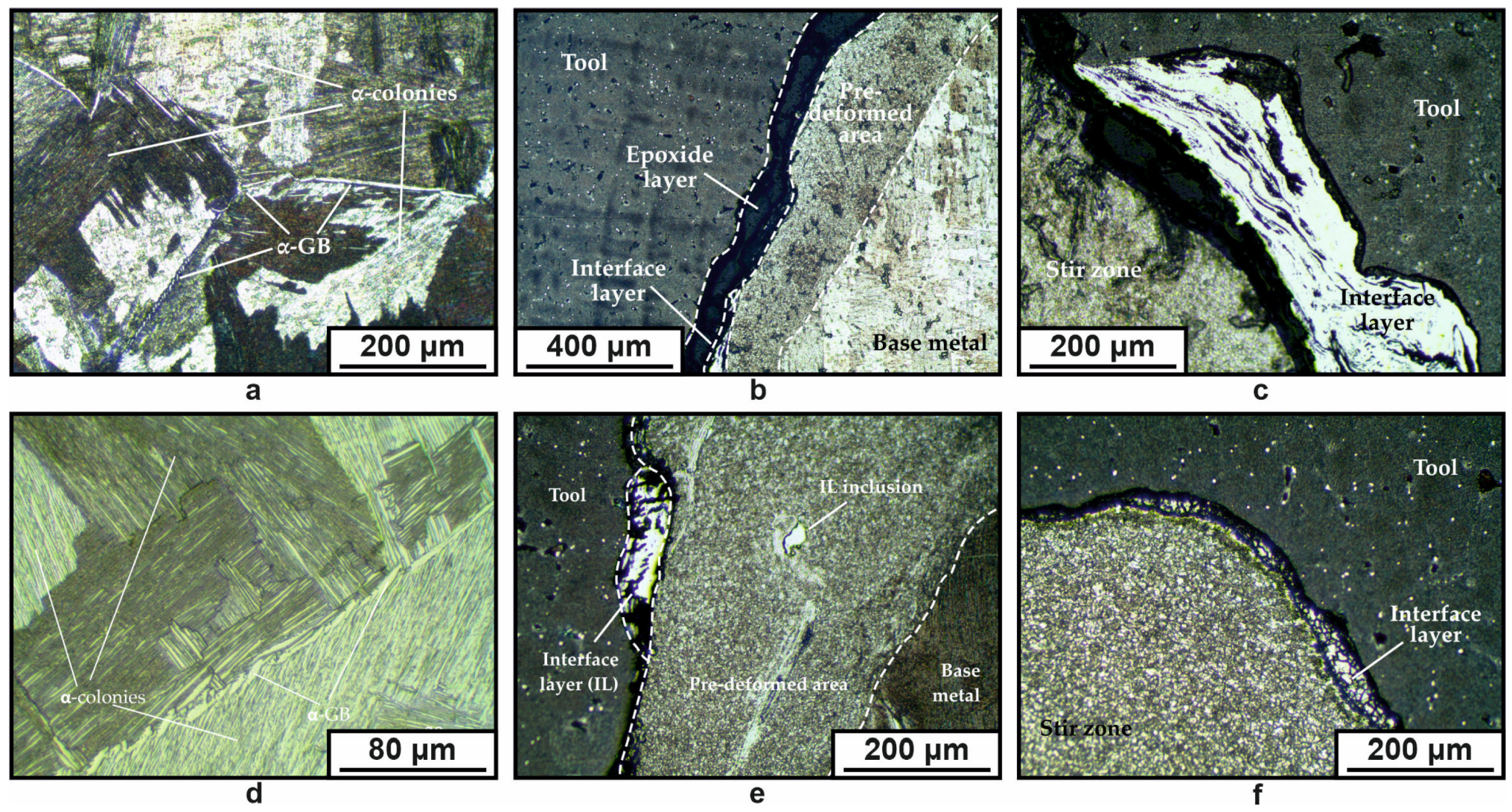 Metals 14 00105 g003