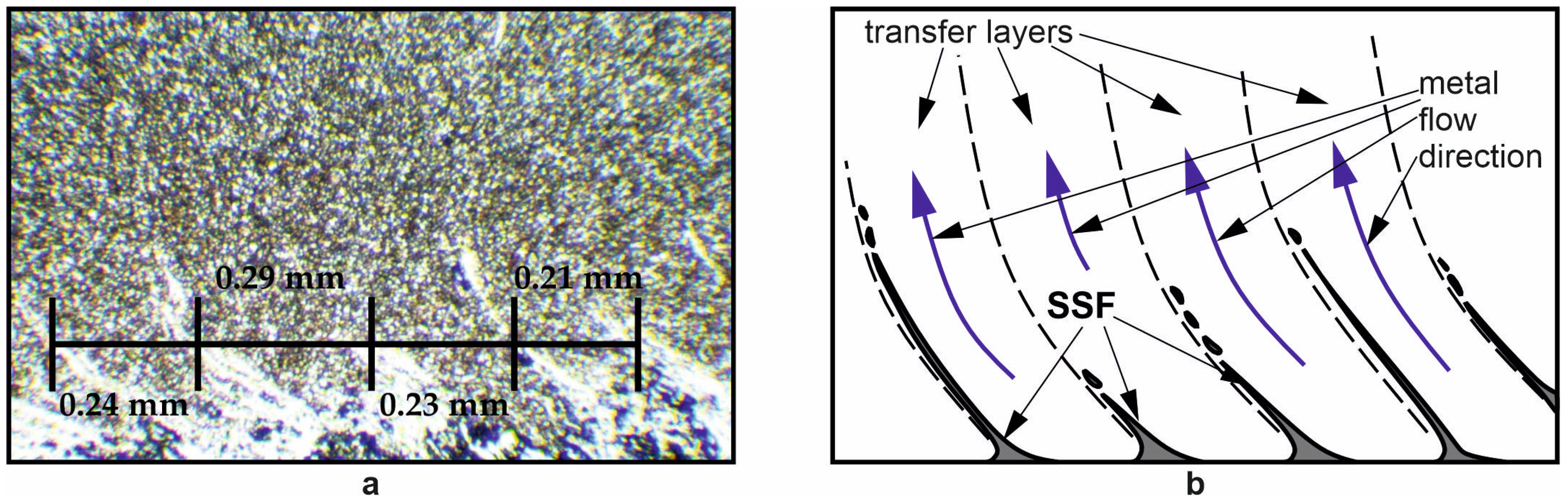 Metals 14 00105 g007