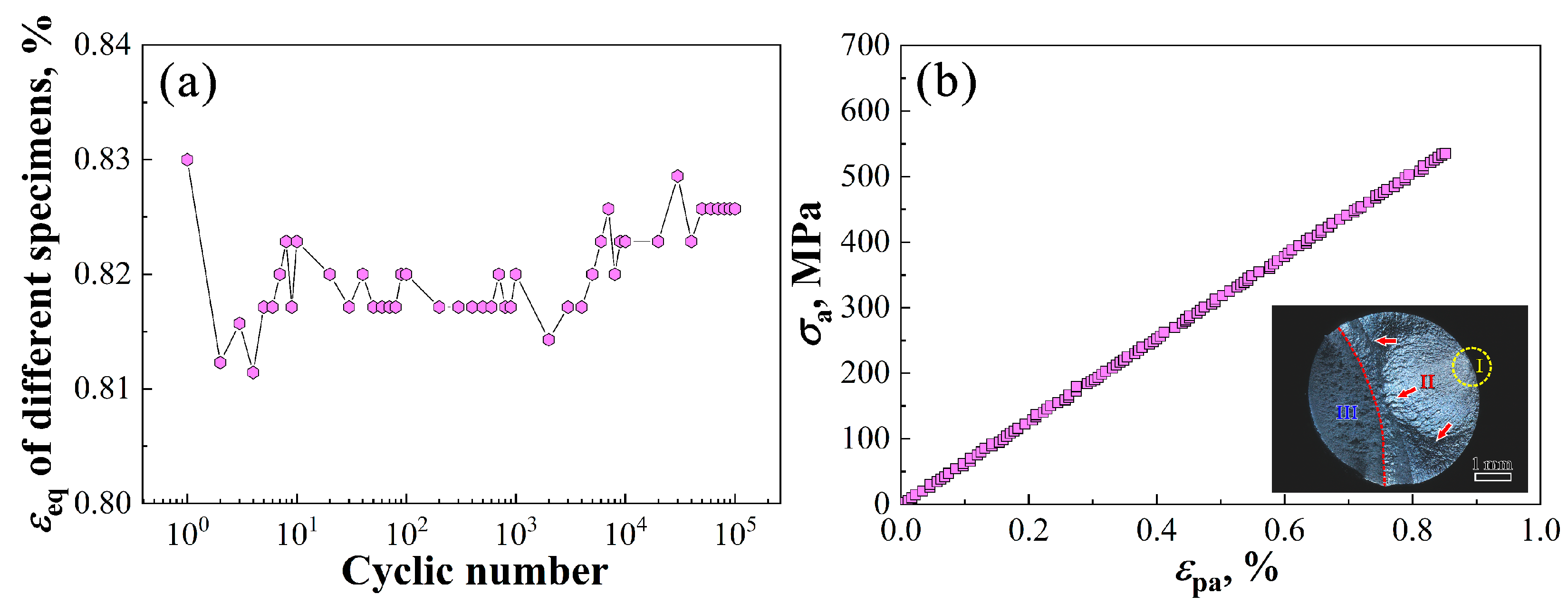 Metals 14 00110 g007