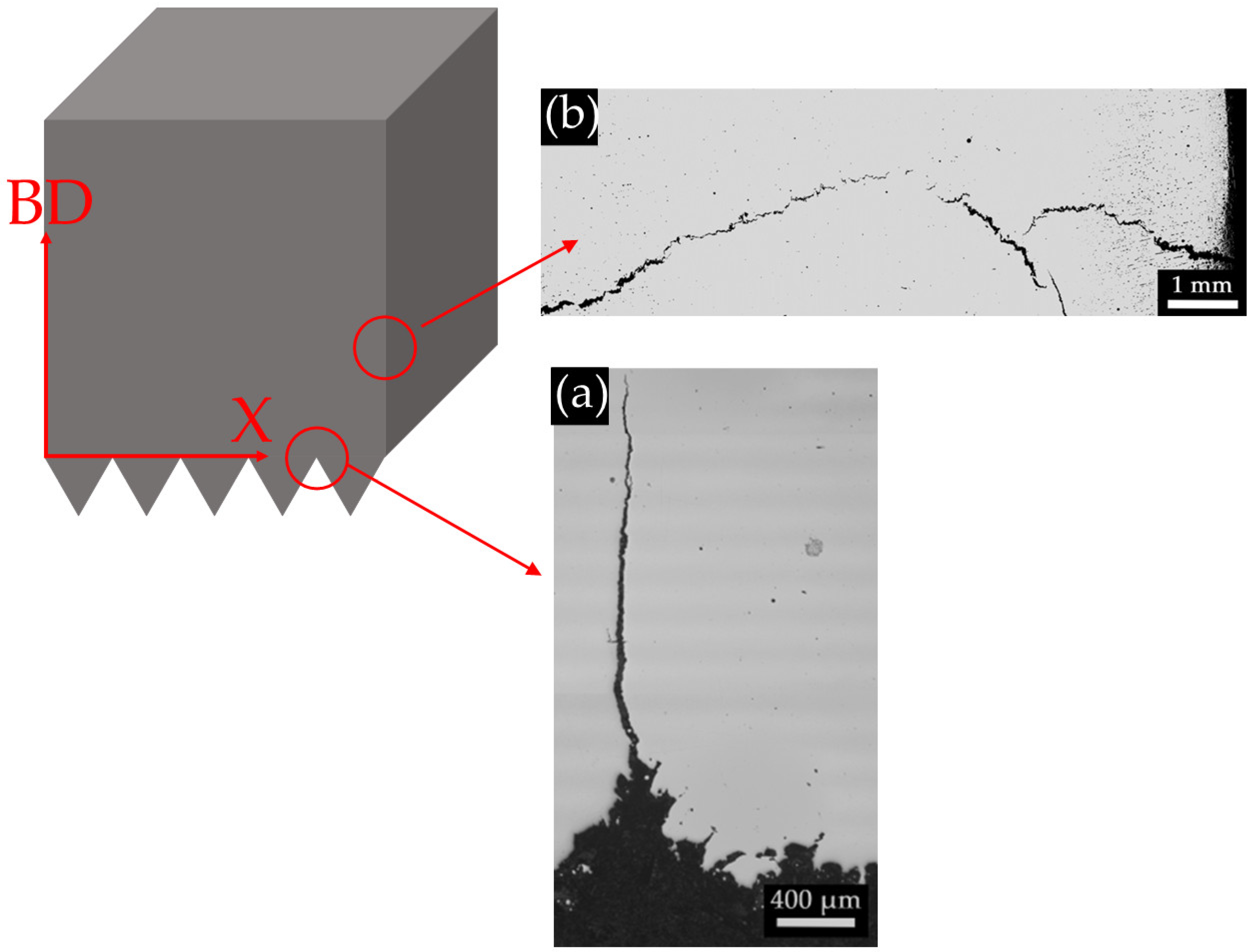 Metals 14 00113 g004