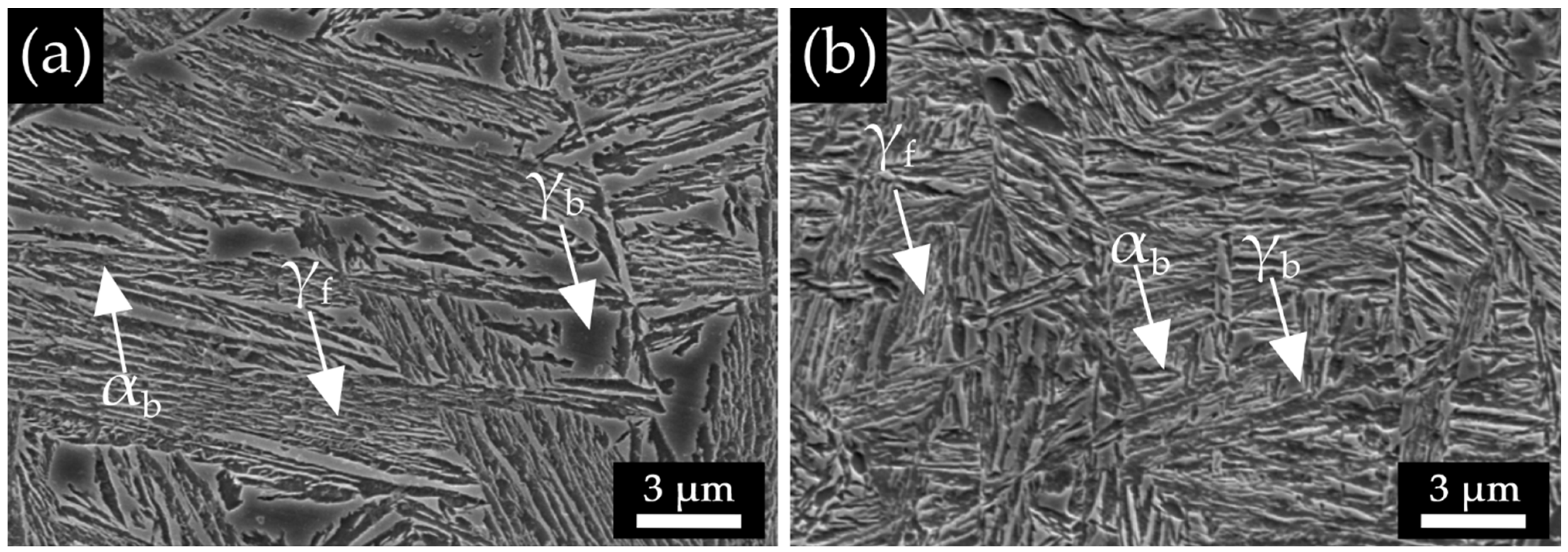 Metals 14 00113 g014