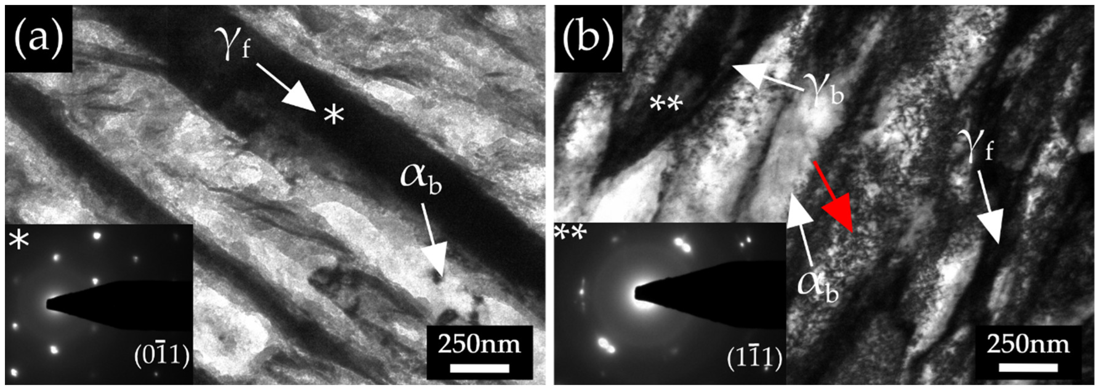 Metals 14 00113 g015