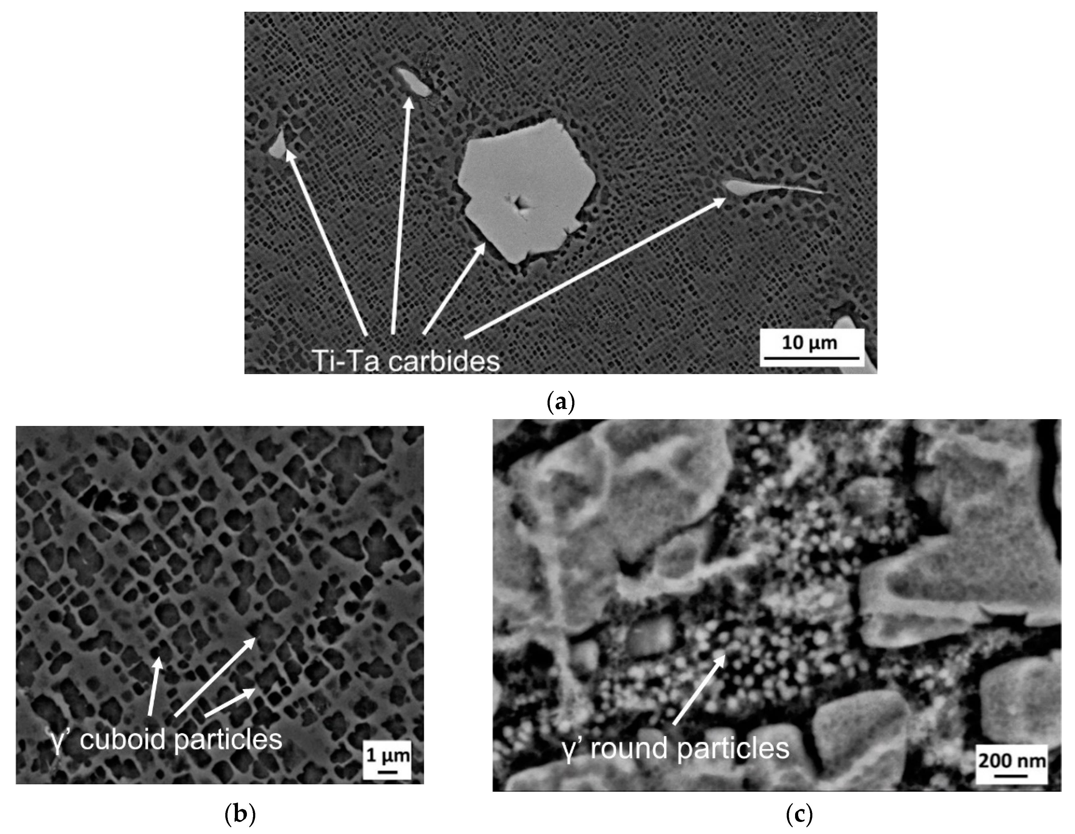 Metals 14 00124 g006