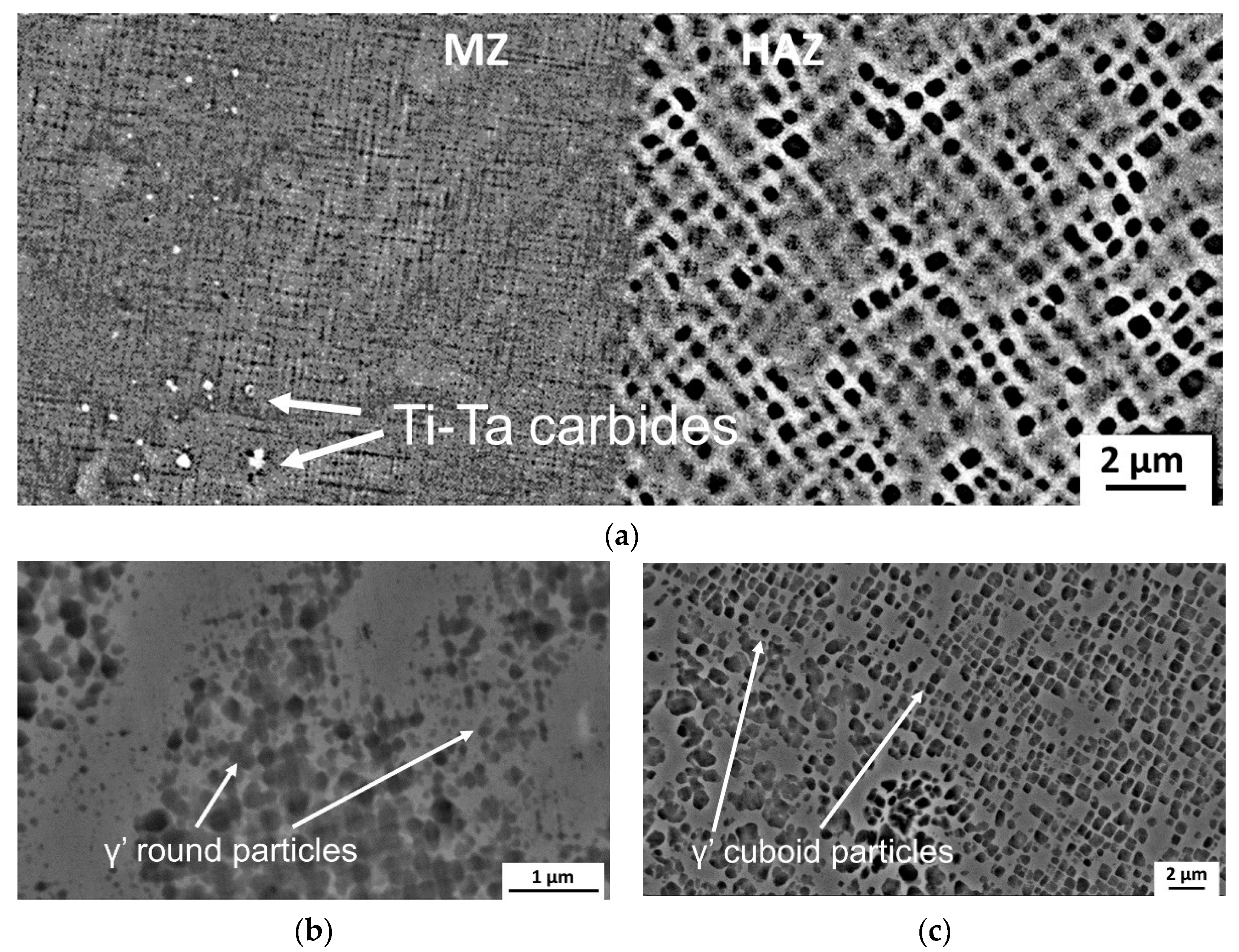 Metals 14 00124 g007