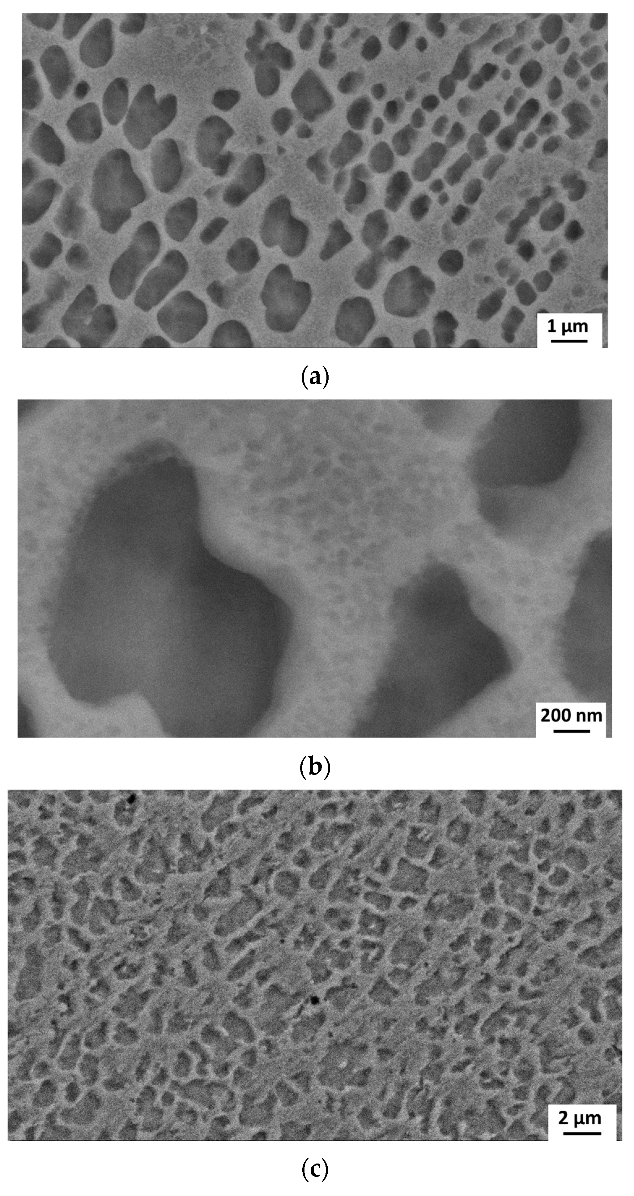 Metals 14 00124 g012