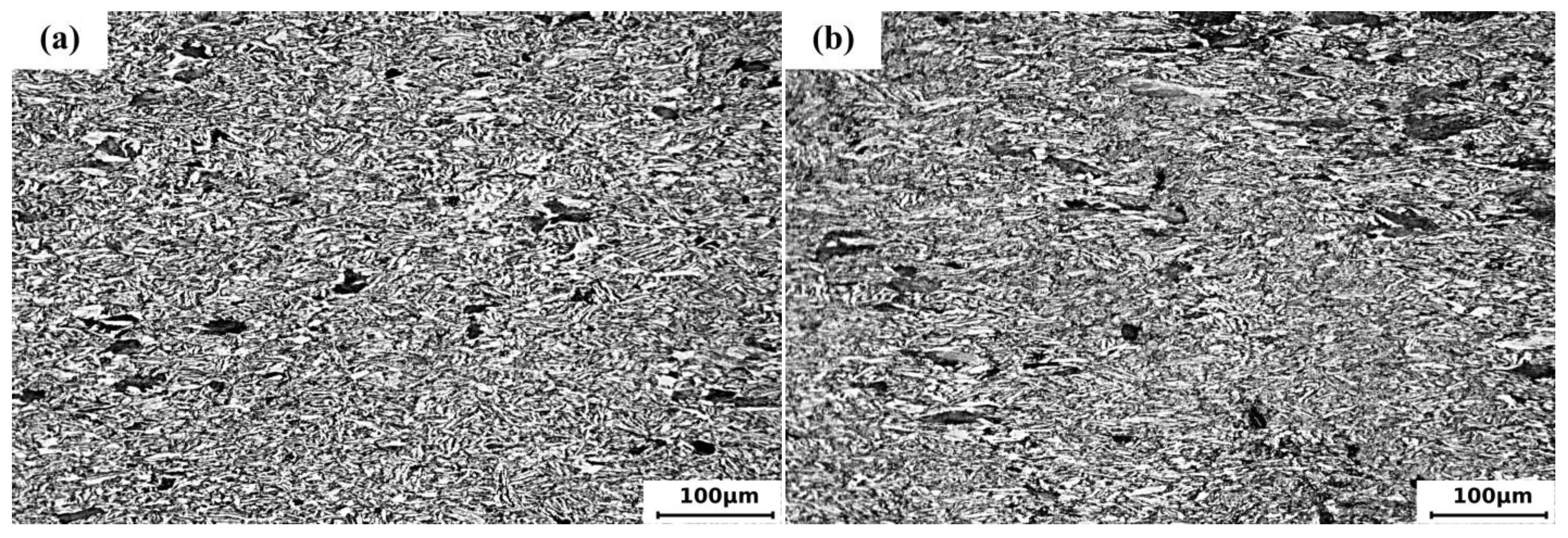 Metals 14 00135 g009