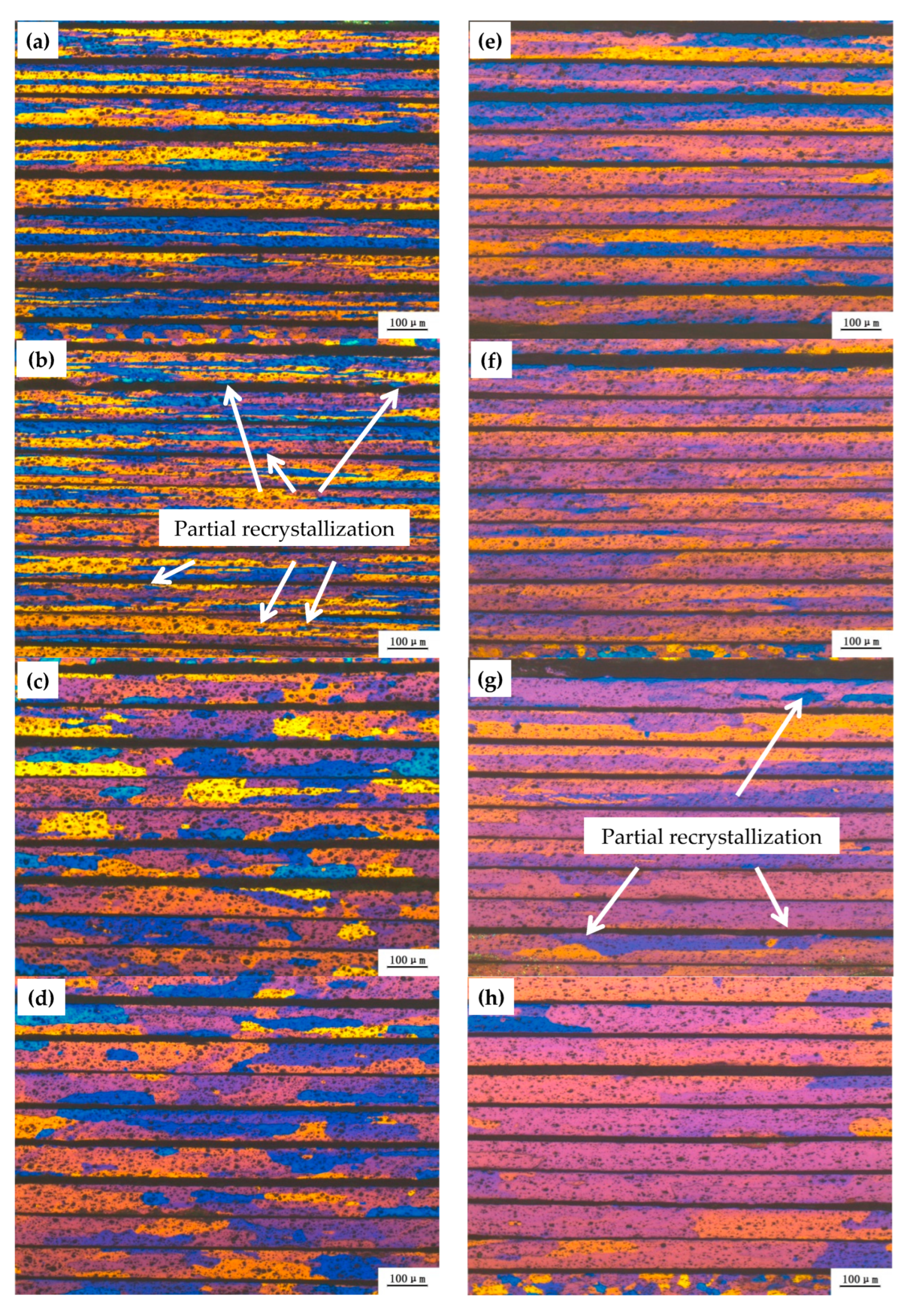 Metals 14 00142 g006