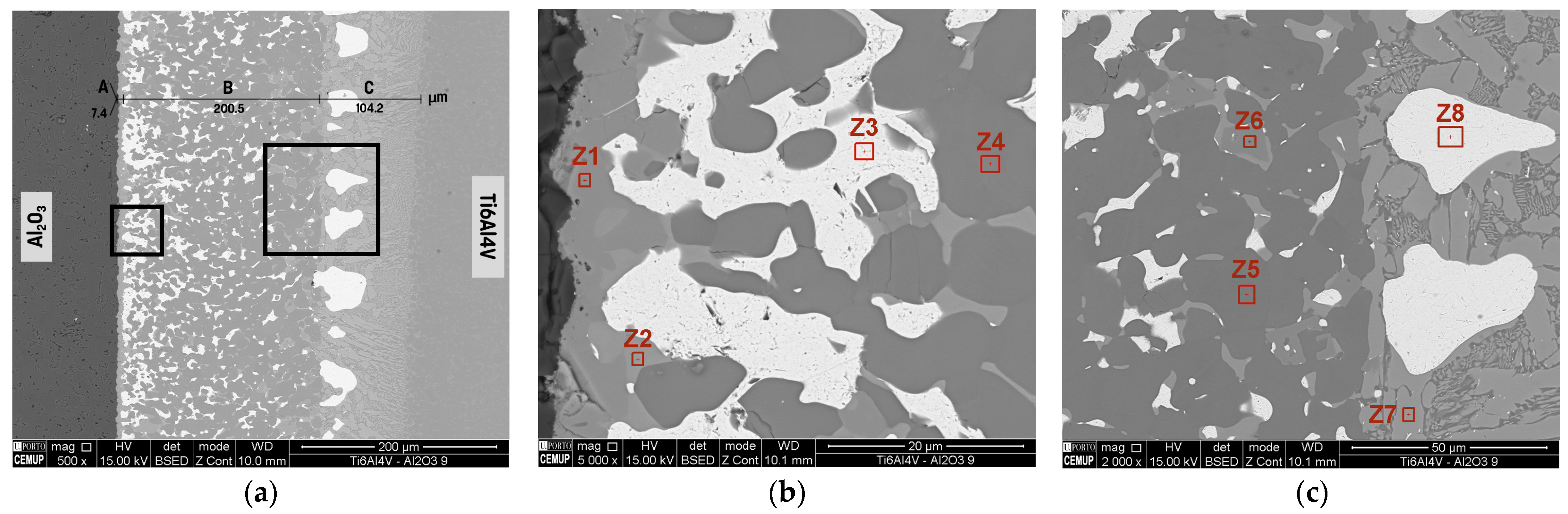 Metals 14 00146 g006a Metals 14 00146 g006a