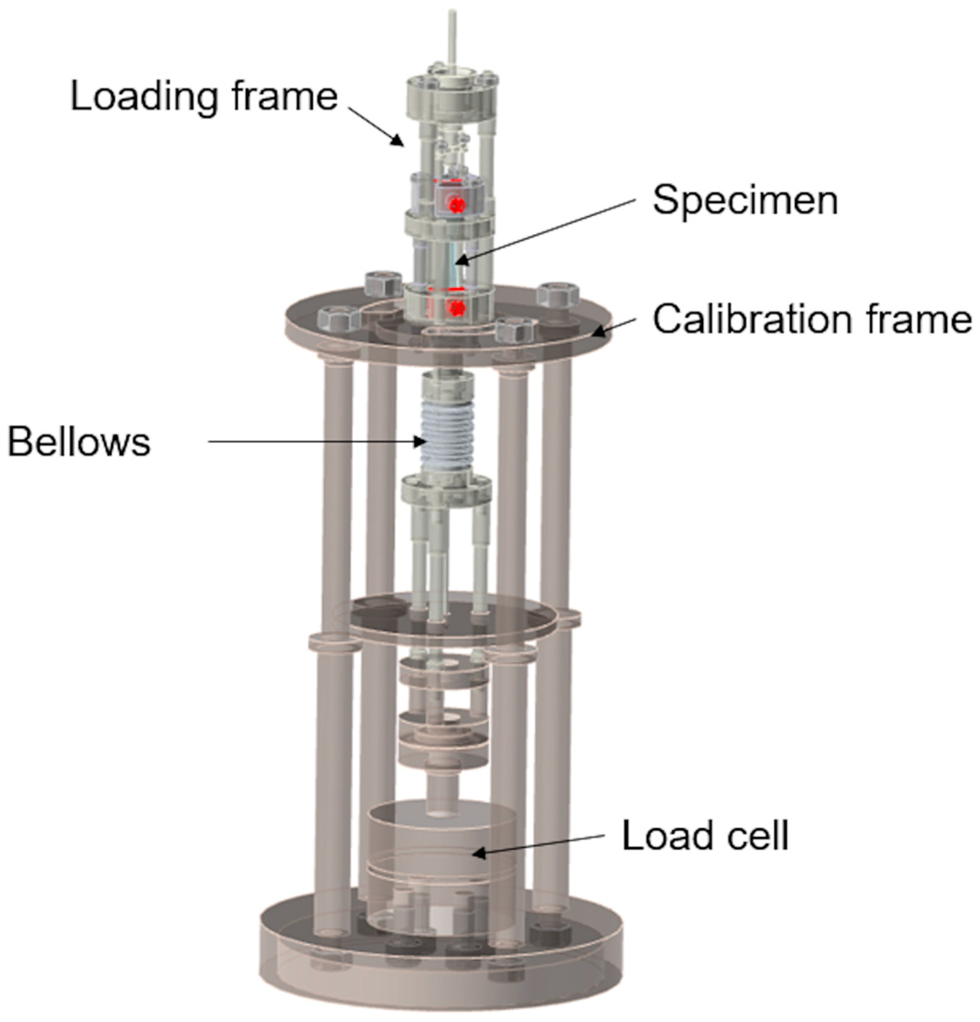 Metals 14 00154 g004