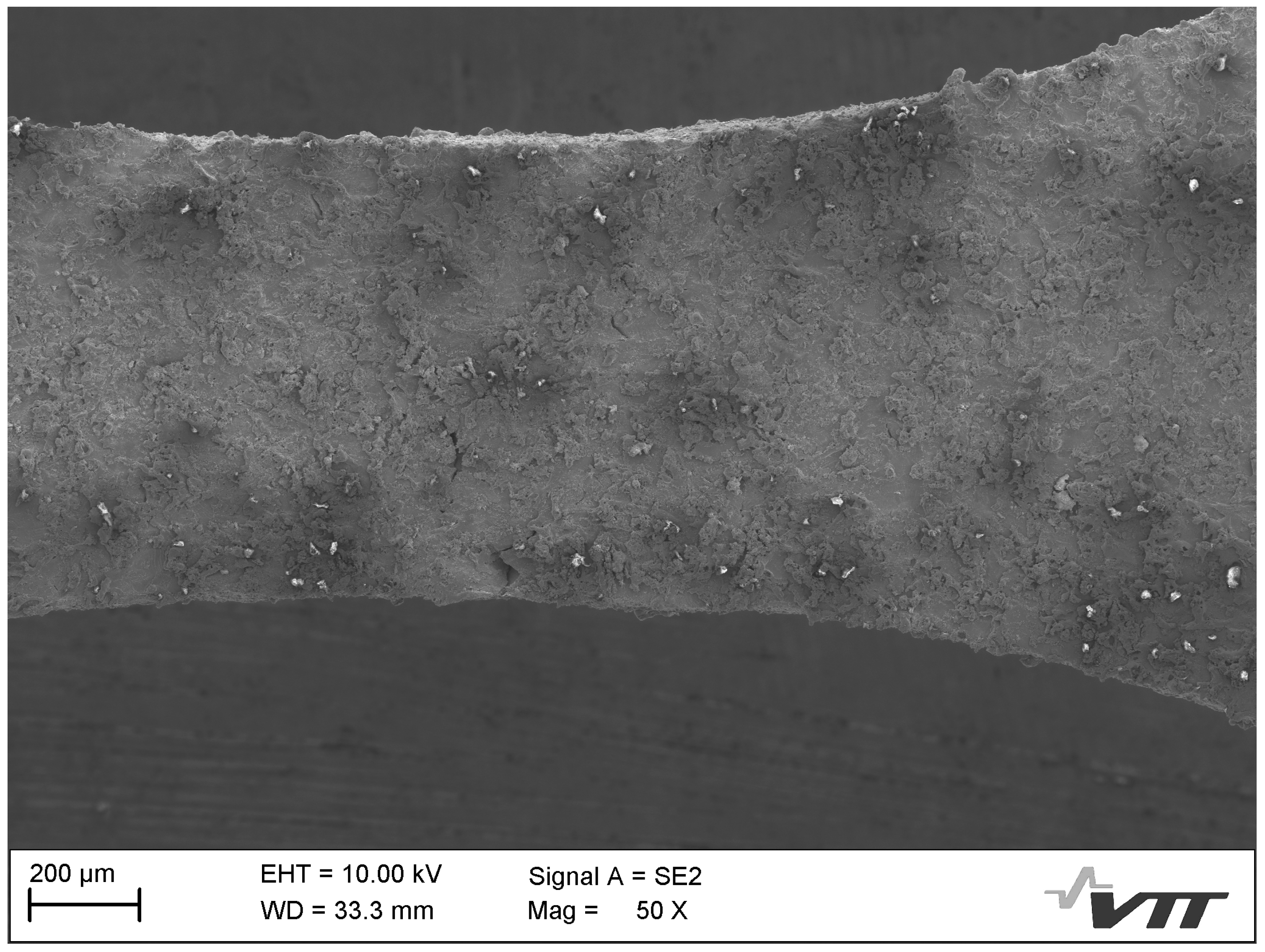 Metals 14 00154 g011