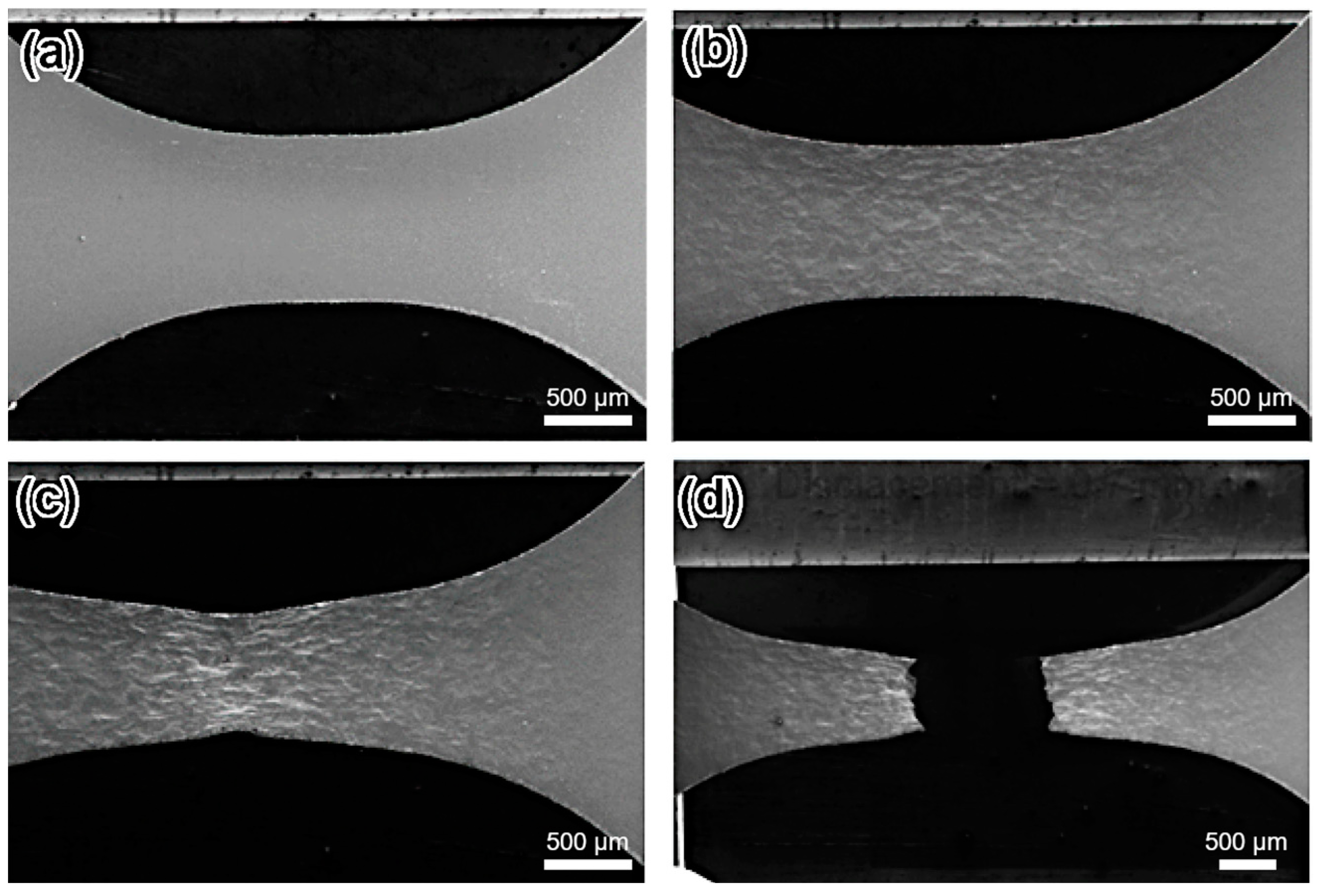 Metals 14 00154 g013