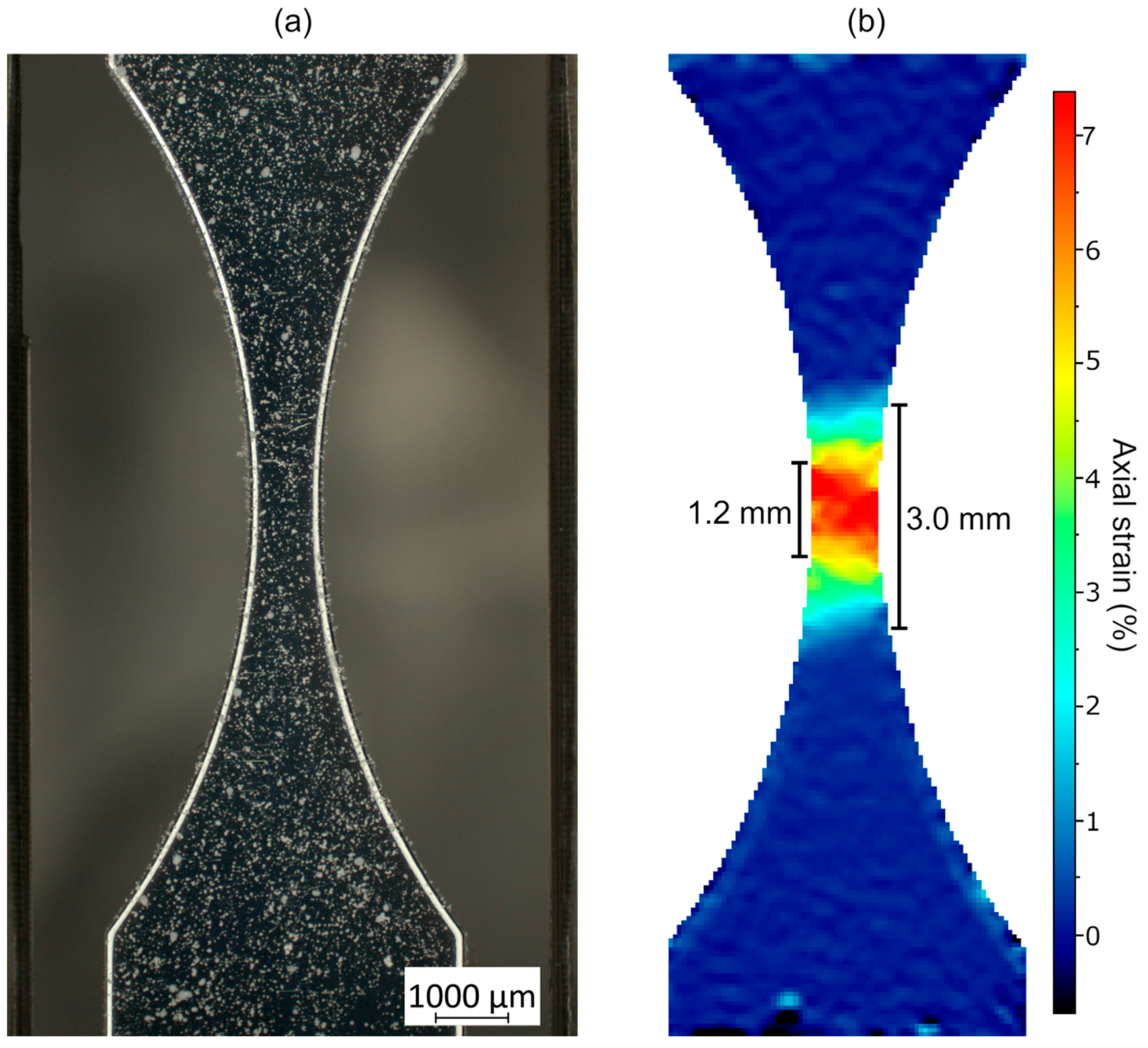 Metals 14 00154 g018