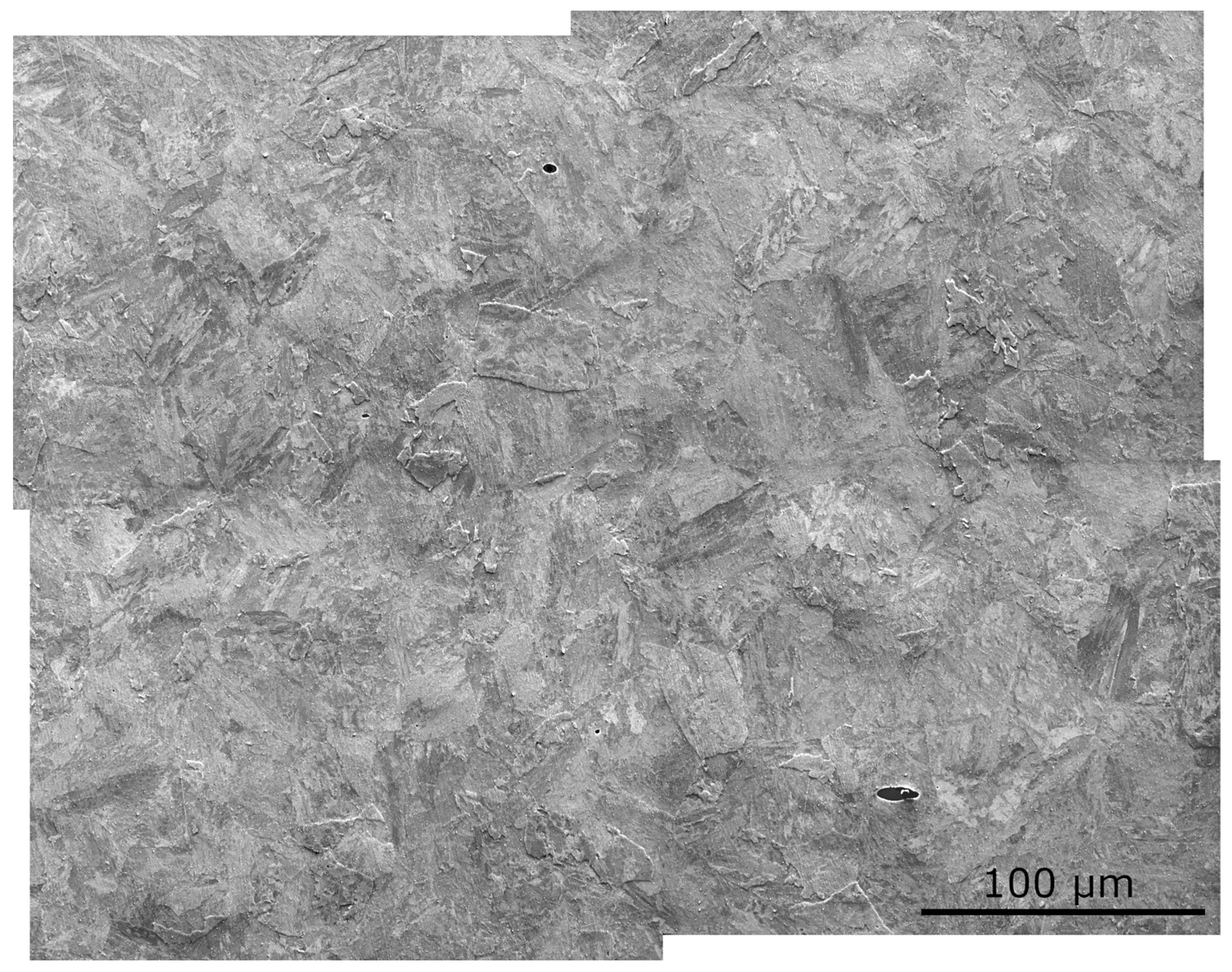 Metals 14 00154 g020