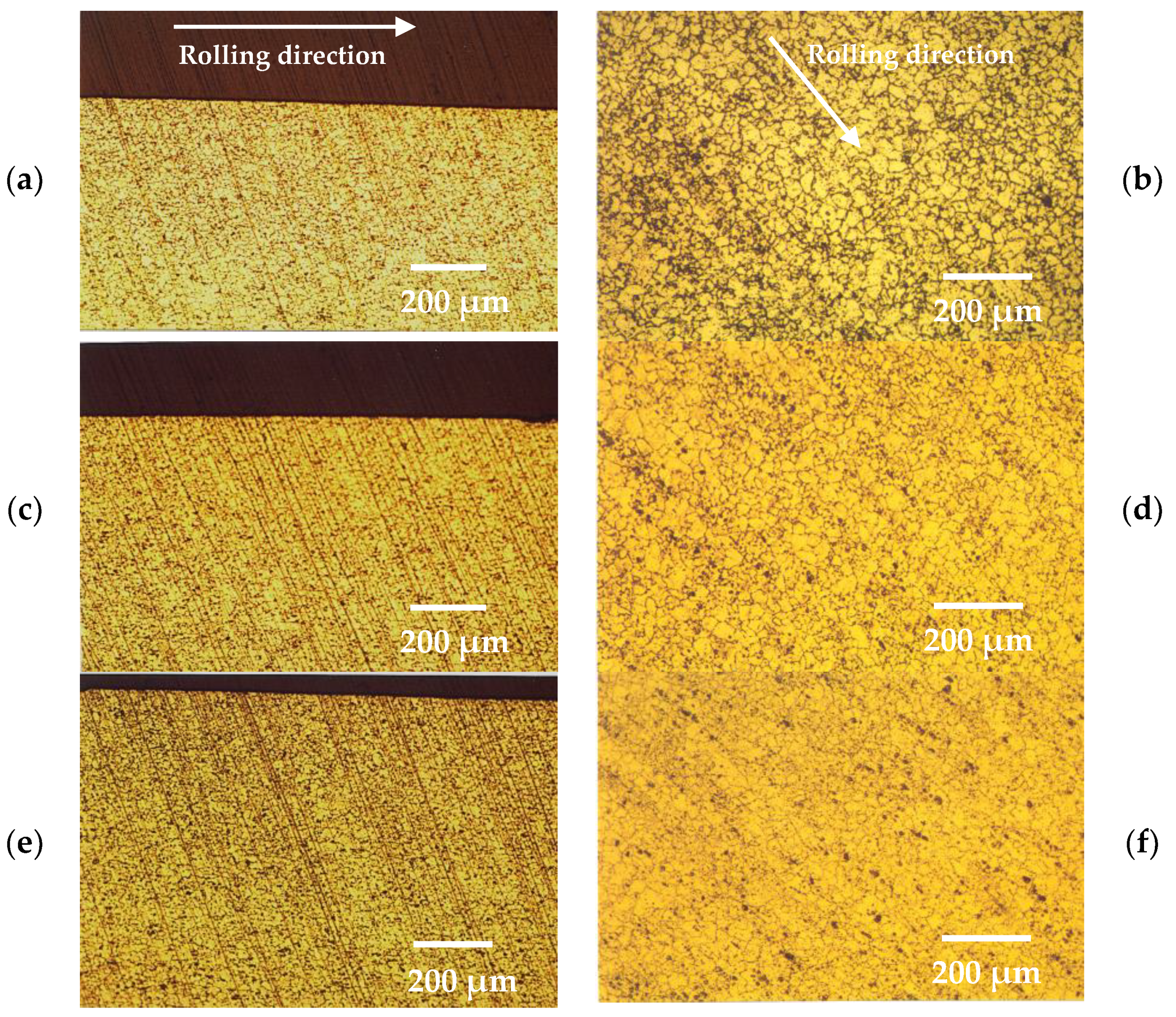 Metals 14 00159 g001