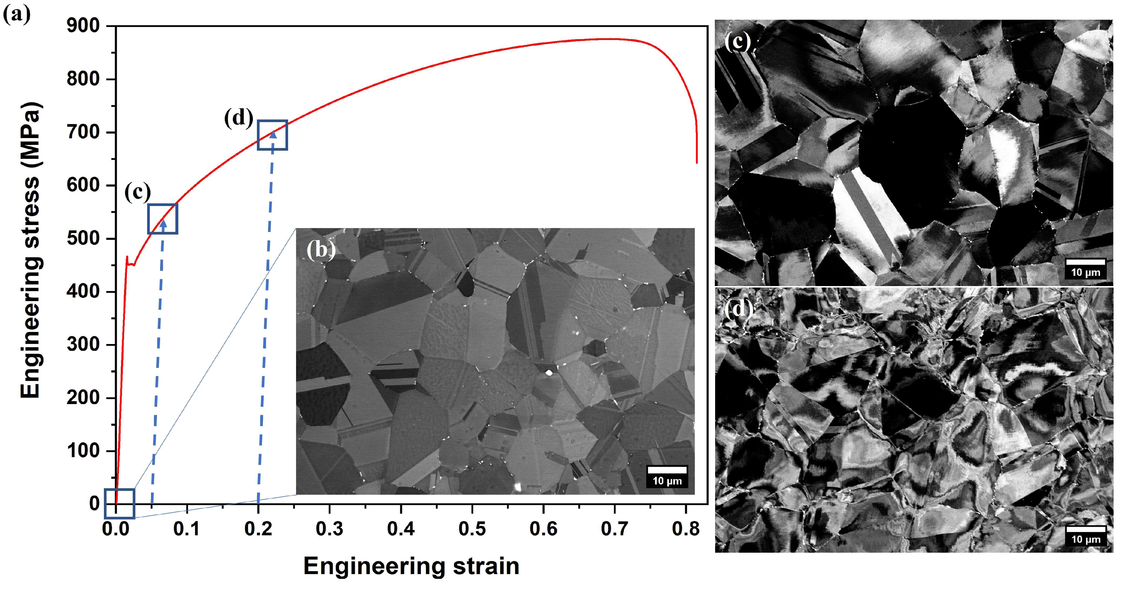 Metals 14 00161 g001