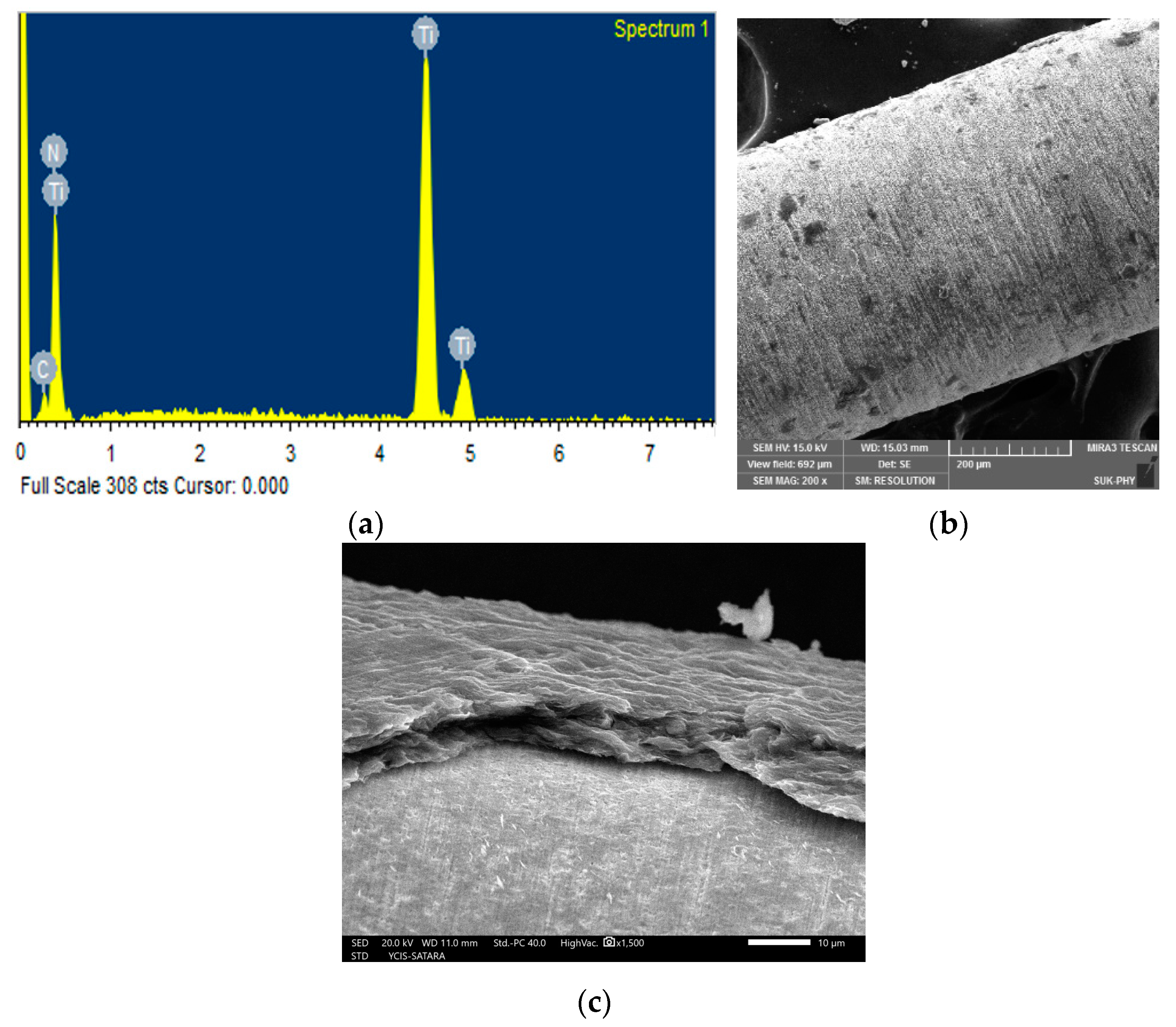 Metals 14 00162 g001