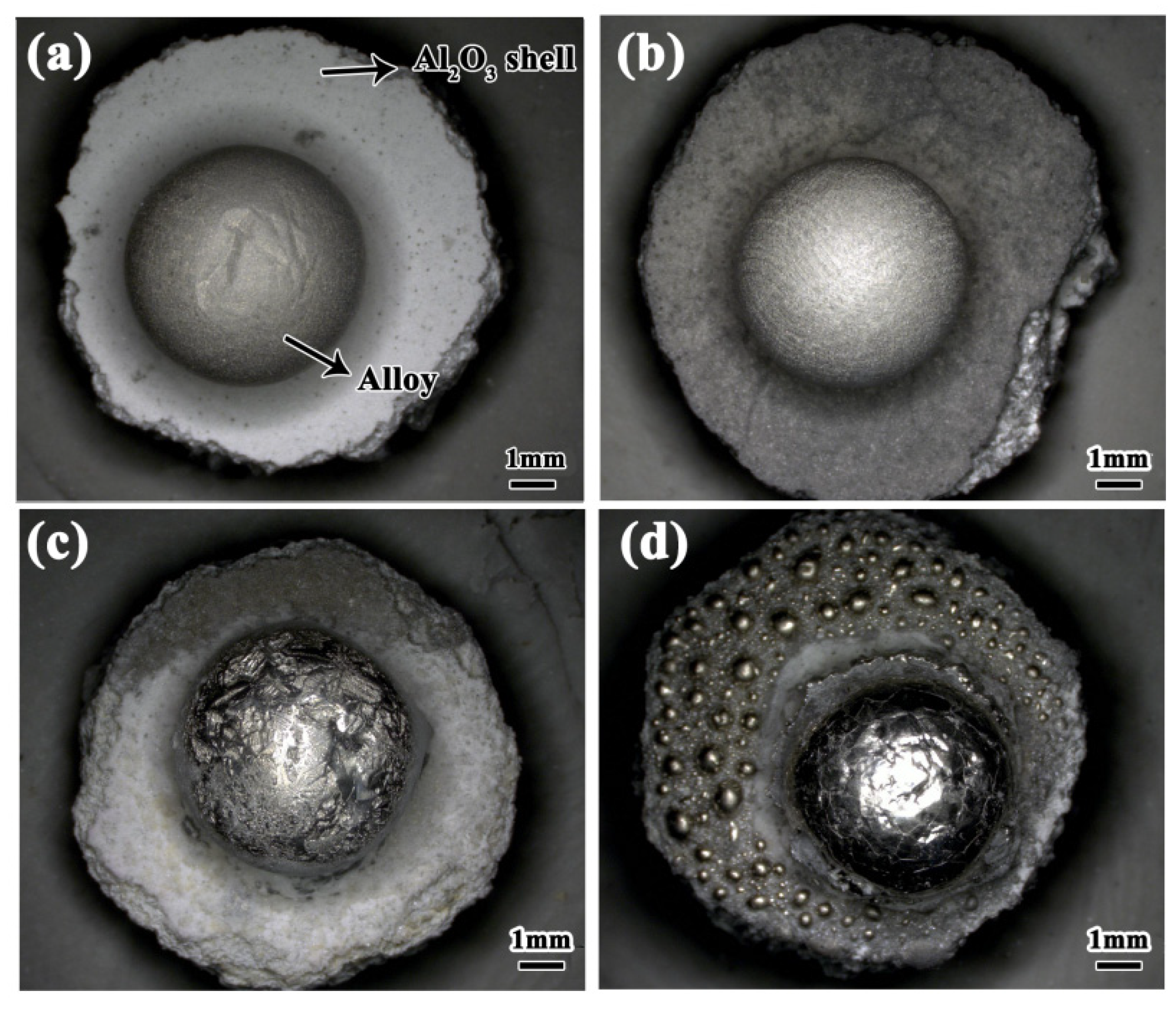 Metals 14 00164 g002